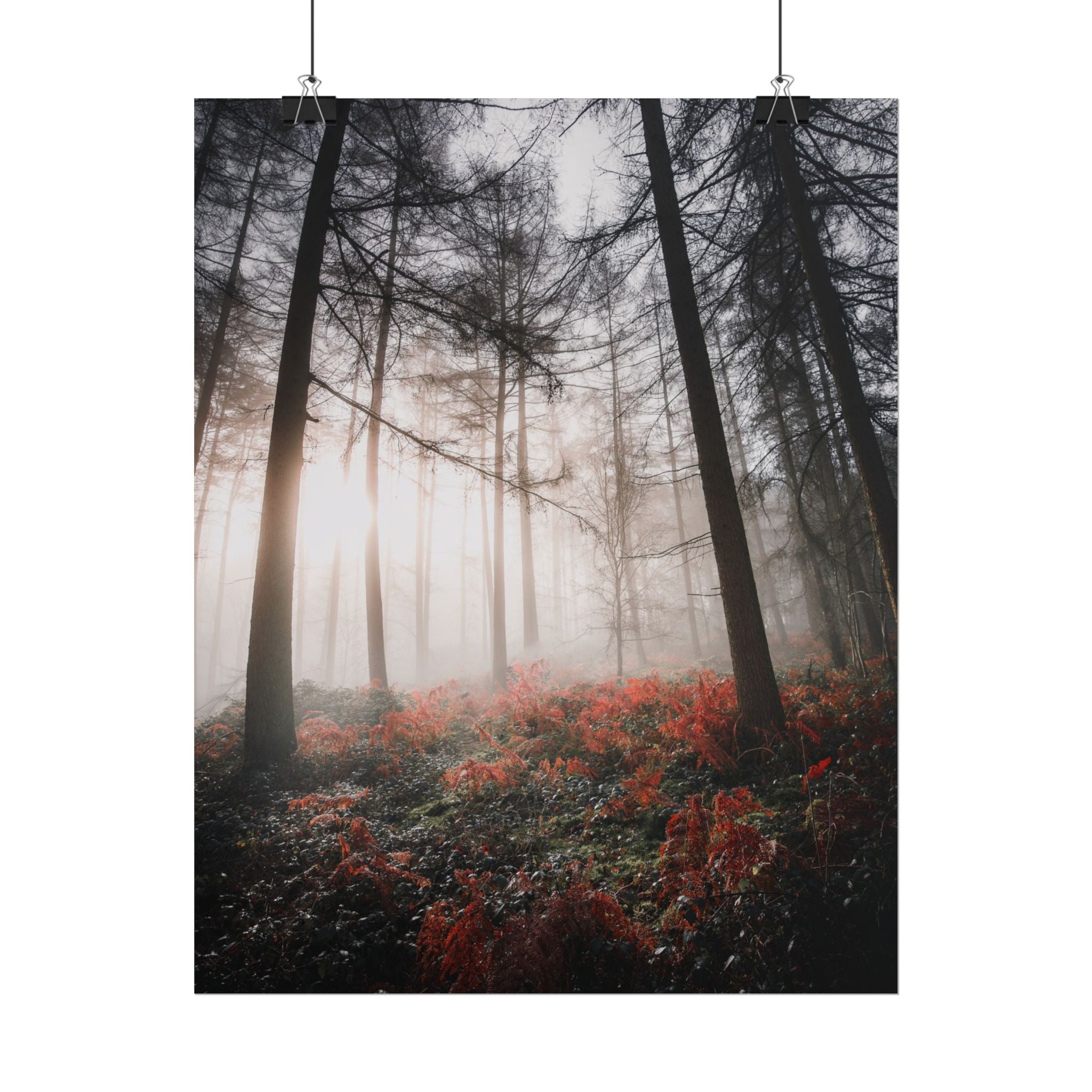 poster-print-misty-woods-art-living-room-wall-decor-sunlight-forest-landscape-aesthetic-nature-art-nature-artwork-poster-gift