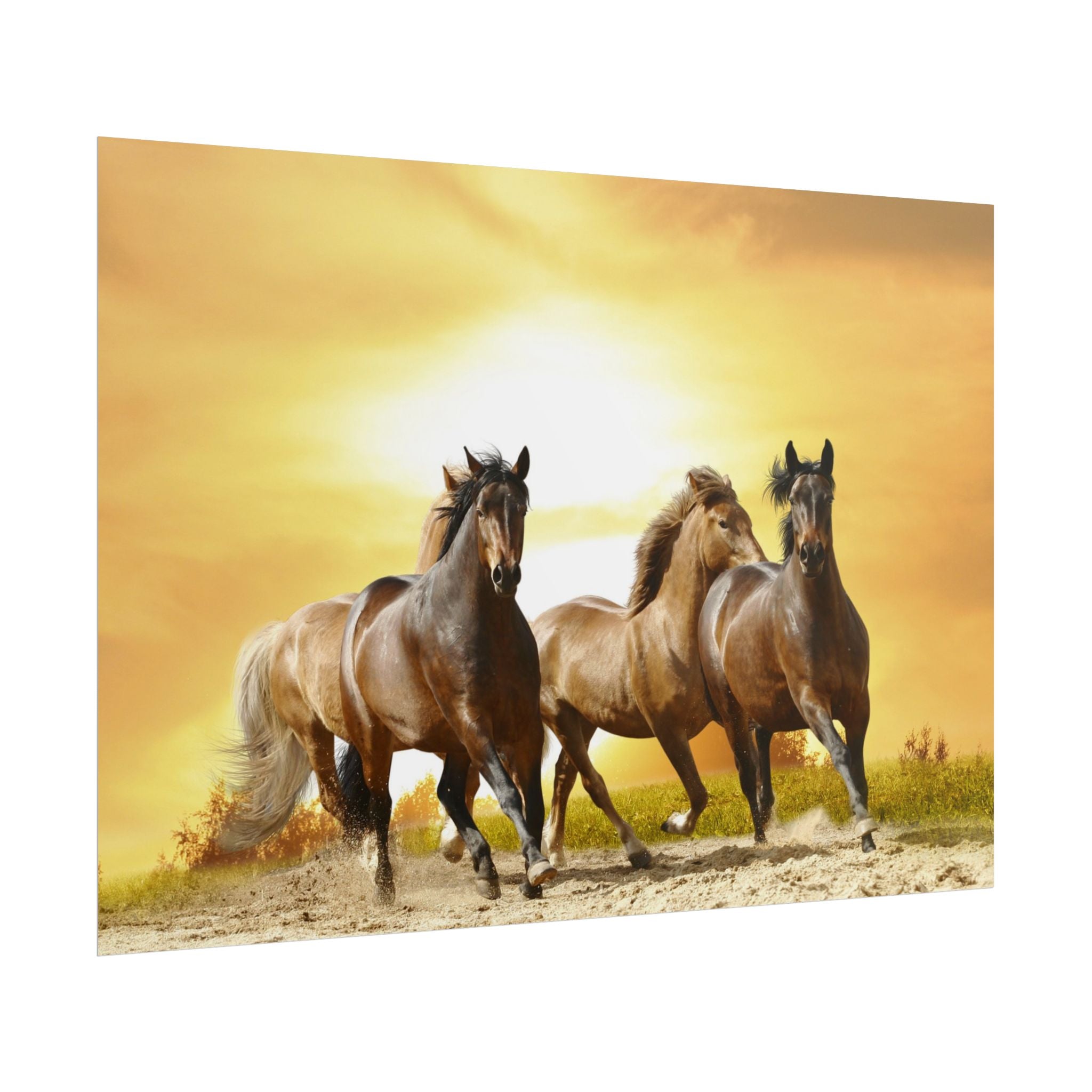 running-horse-poster-wall-art-farmhouse-wall-decor-home-decor-housewarming-gift-horse-print-wall-print-wild-animals