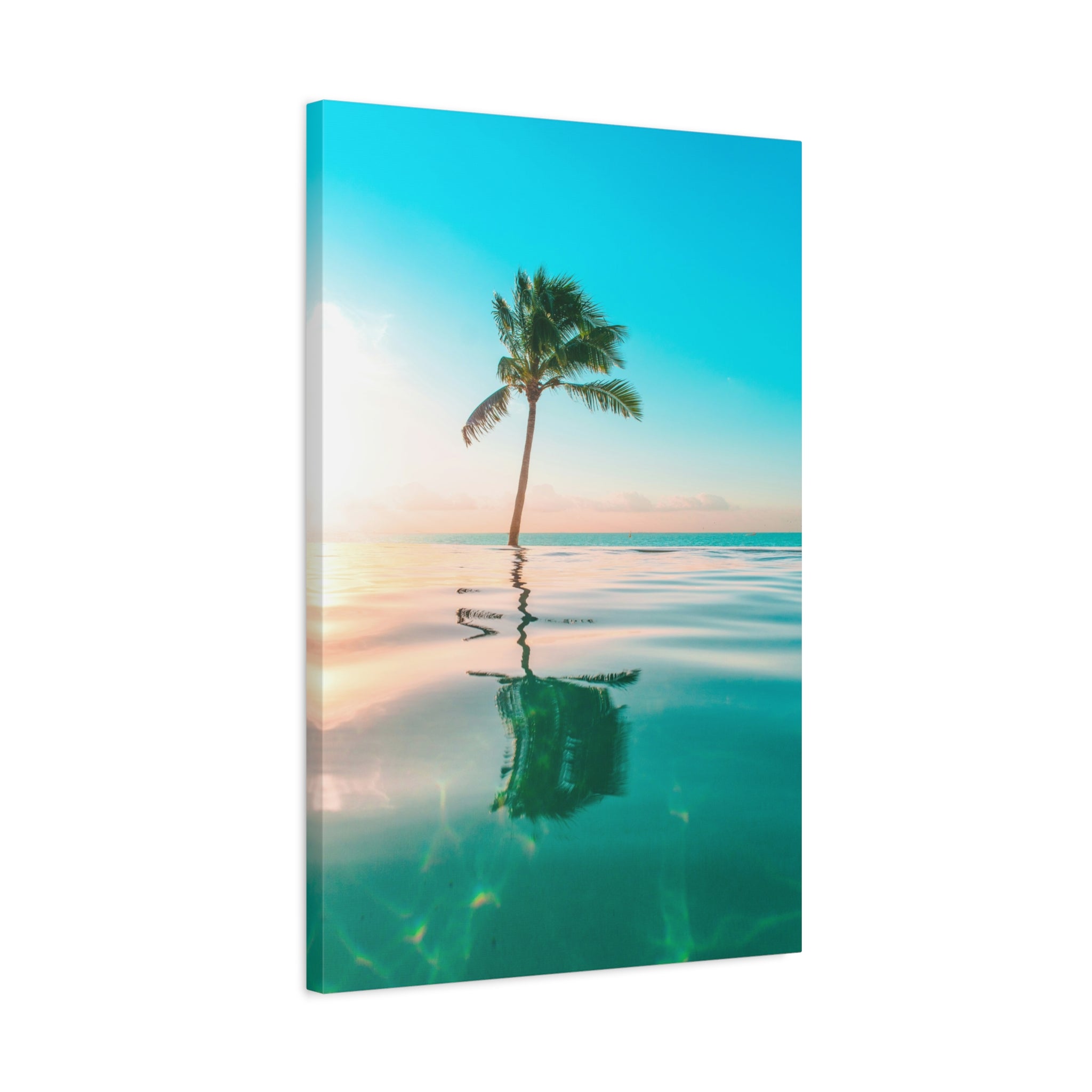 palm-tree-canvas-print-palm-tree-decor-wall-art-print-home-decor-palm-tree-fine-art-palm-tree-art-gallery-stretched-canvas-pr