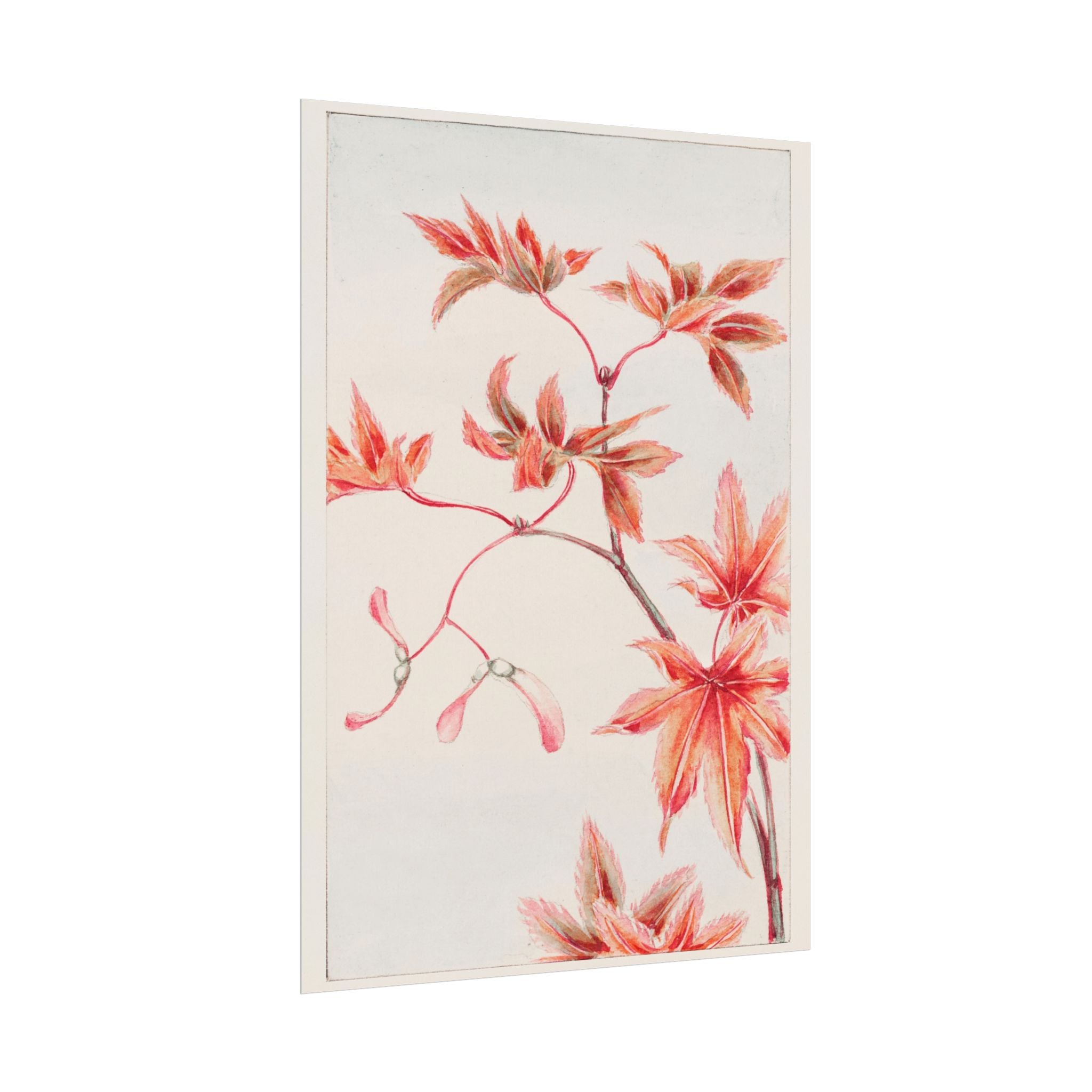 poster-print-branch-of-momiji-maple-tree-with-leaves-floral-wall-art-rolled-posters-wall-decor-room-decoration-nature-art-bot