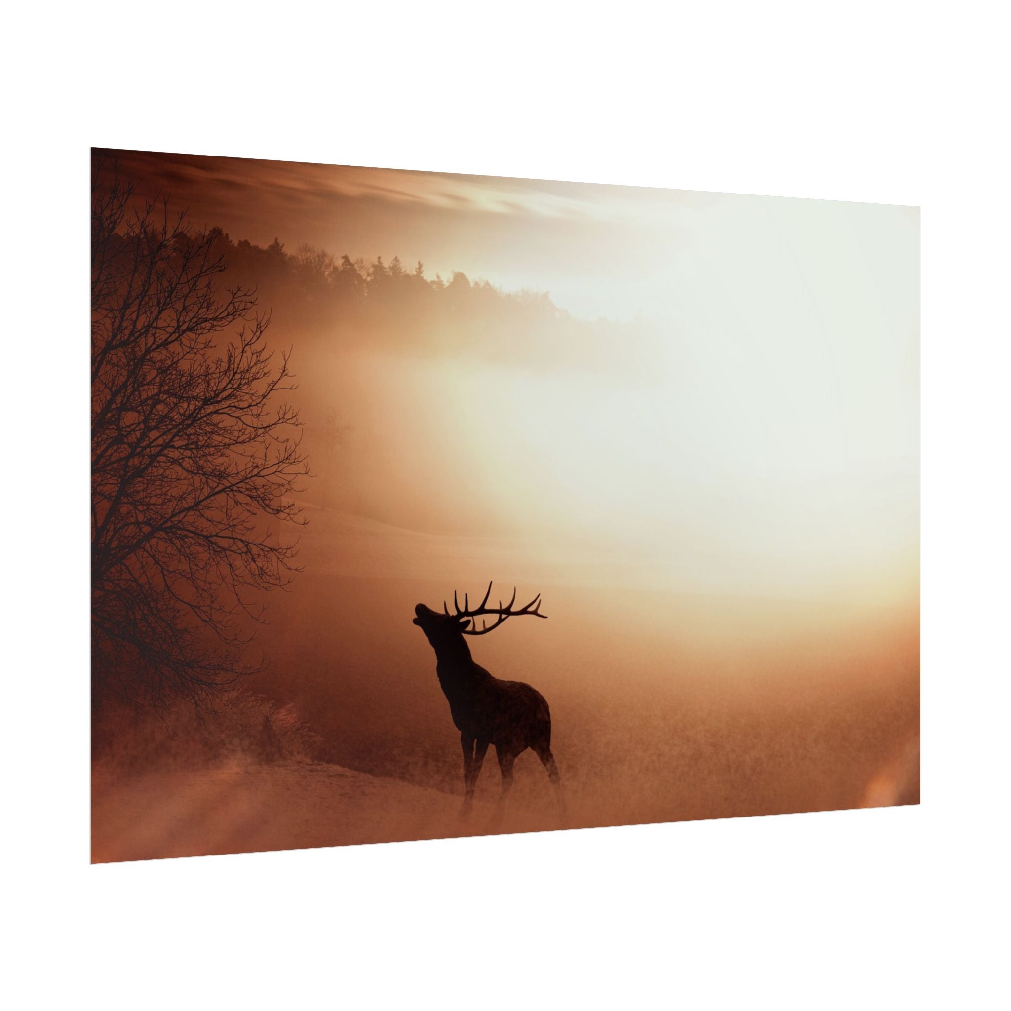 poster-print-elk-in-forest-sunset-scenery-nature-home-decor-animal-wall-art-wildlife-decor-farmhouse-wall-art-elk-prints-post