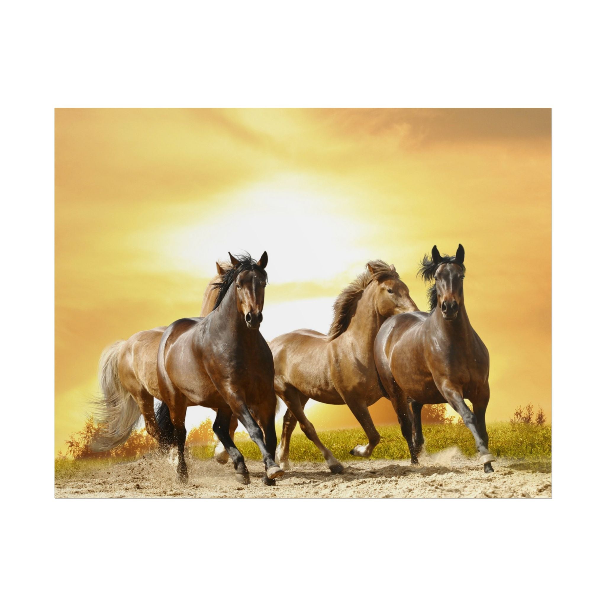 running-horse-poster-wall-art-farmhouse-wall-decor-home-decor-housewarming-gift-horse-print-wall-print-wild-animals