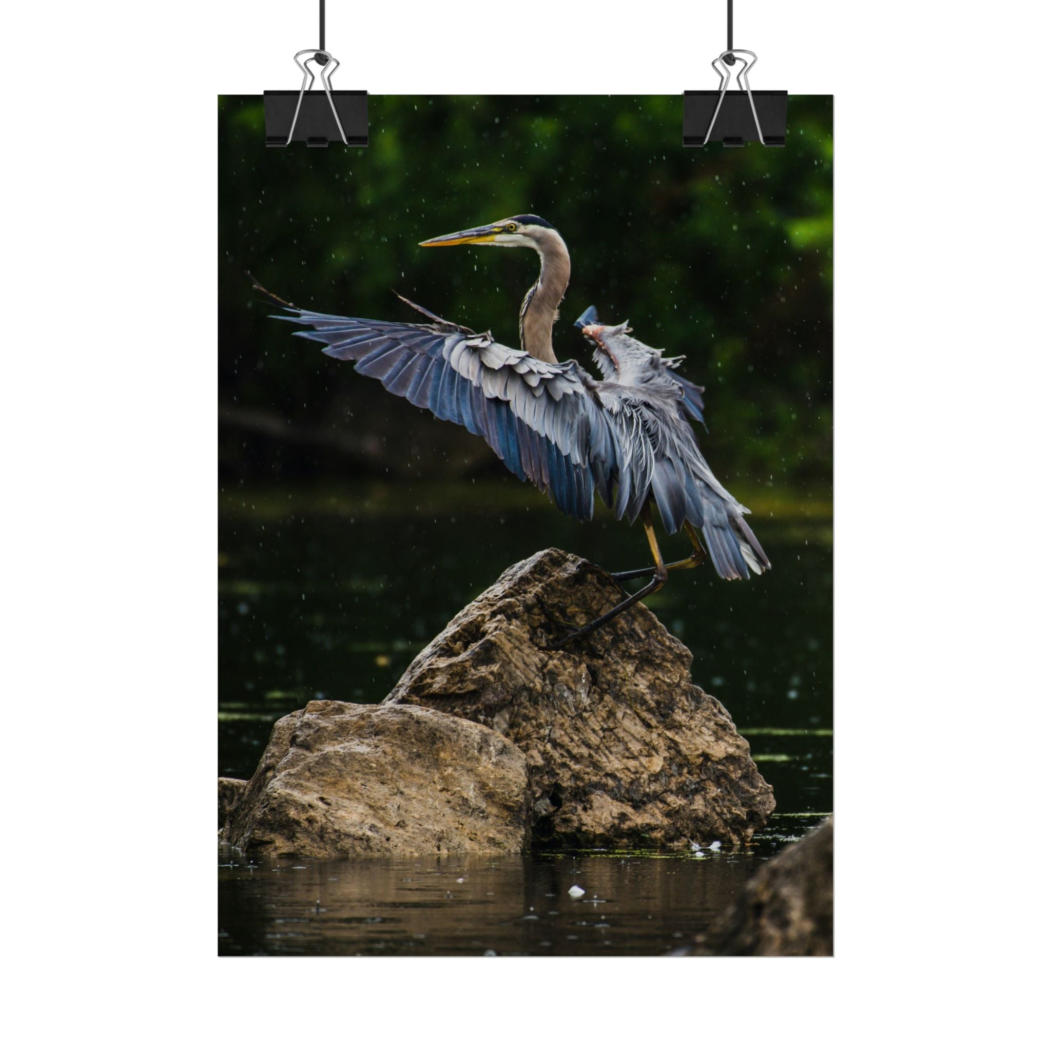 great-blue-heron-poster-wall-art-home-decor-bird-lover-gift-nature-wall-hanging-wildlife-poster