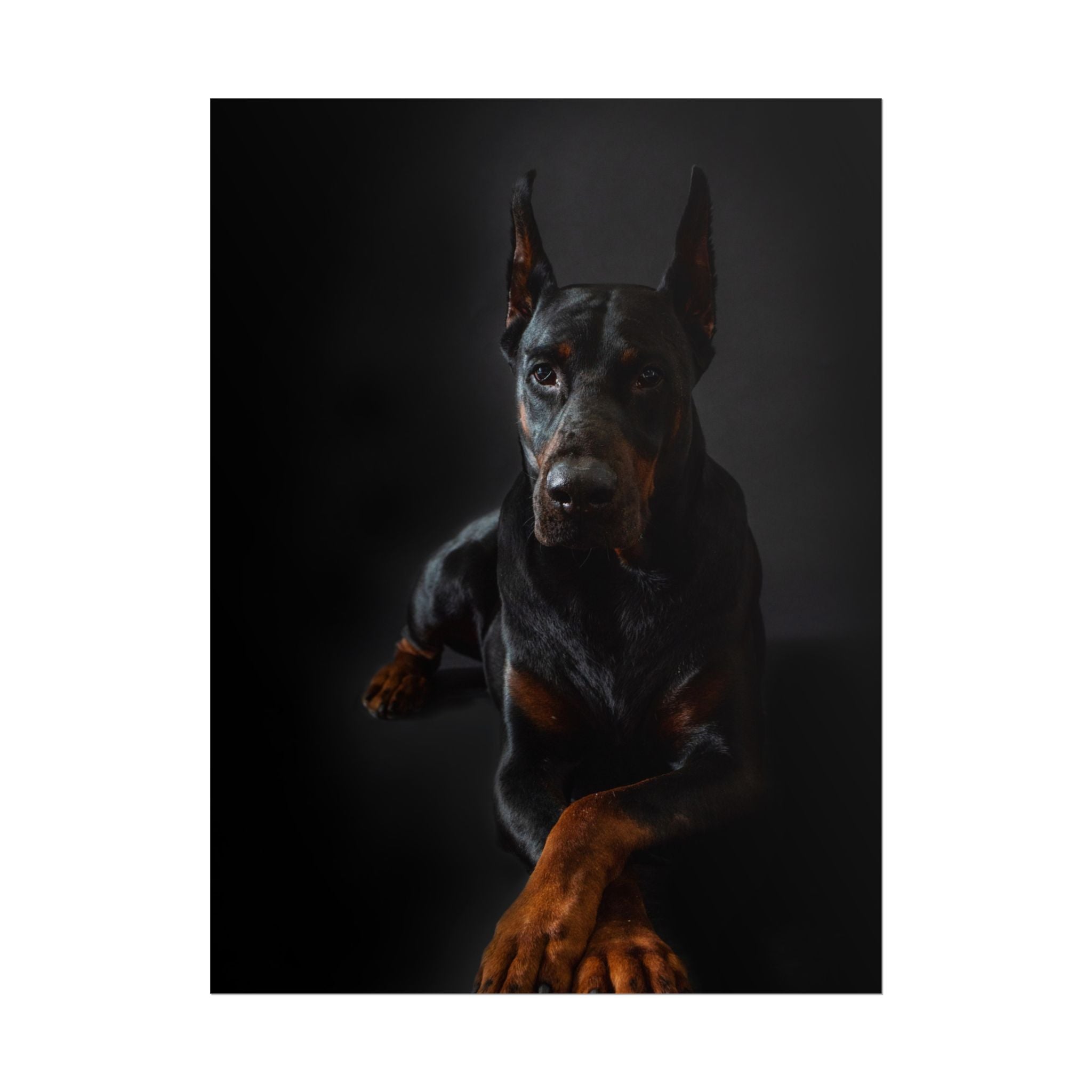 doberman-pincher-poster-print-rolled-posters-wall-art-home-decor-dog-lover-gift-animal-art-room-decoration