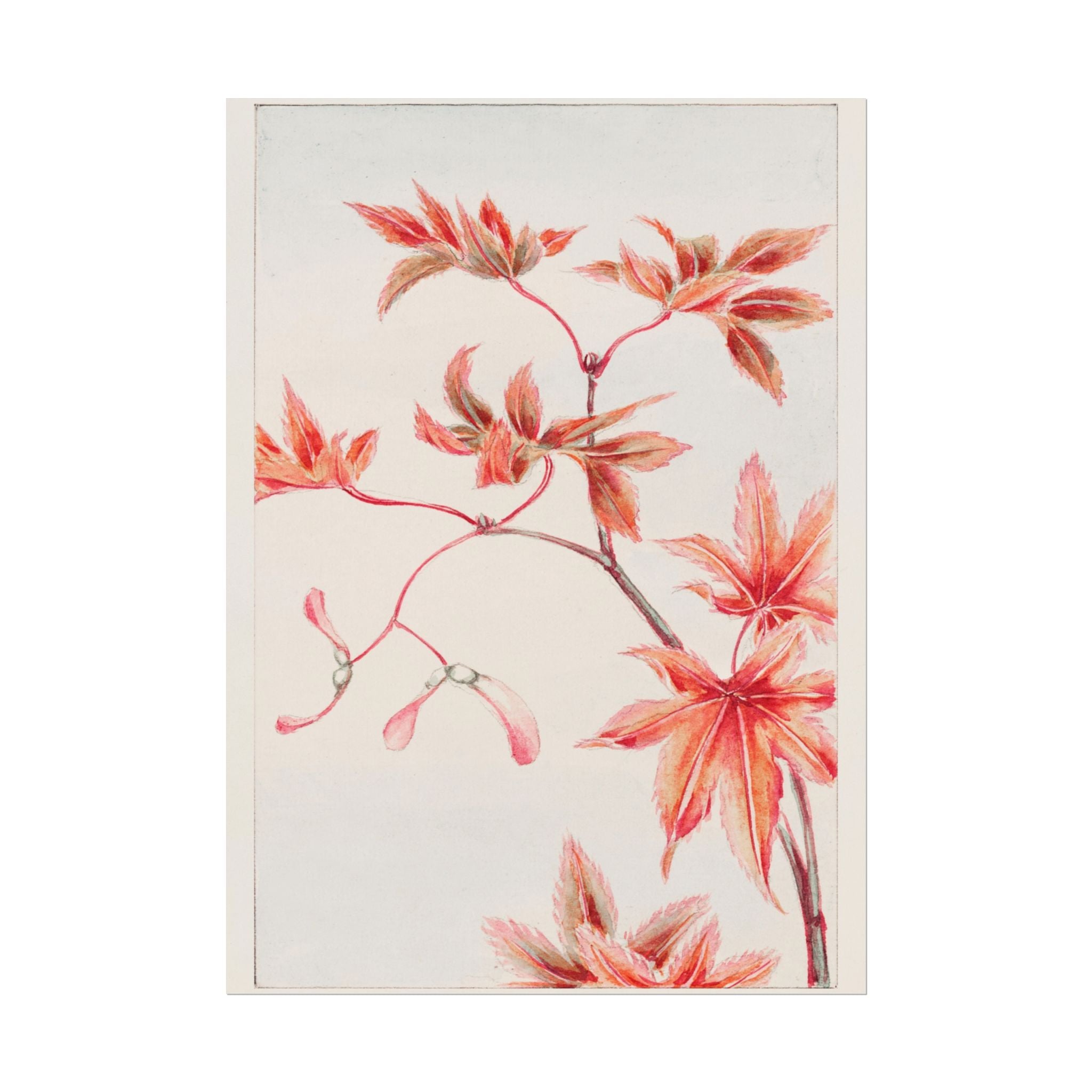 poster-print-branch-of-momiji-maple-tree-with-leaves-floral-wall-art-rolled-posters-wall-decor-room-decoration-nature-art-bot