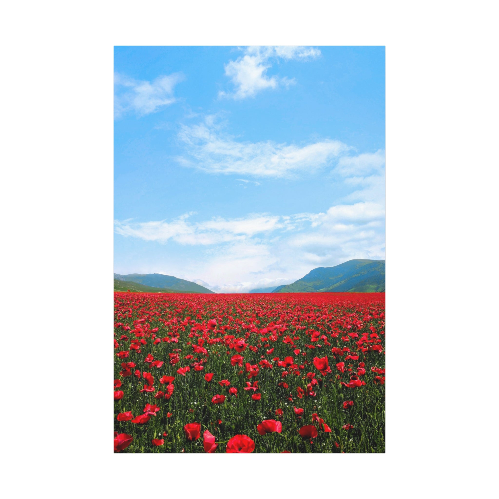 canvas-wall-art-red-poppy-flower-print-spring-floral-decor-matte-stretched-1-25-inch-home-office-decoration