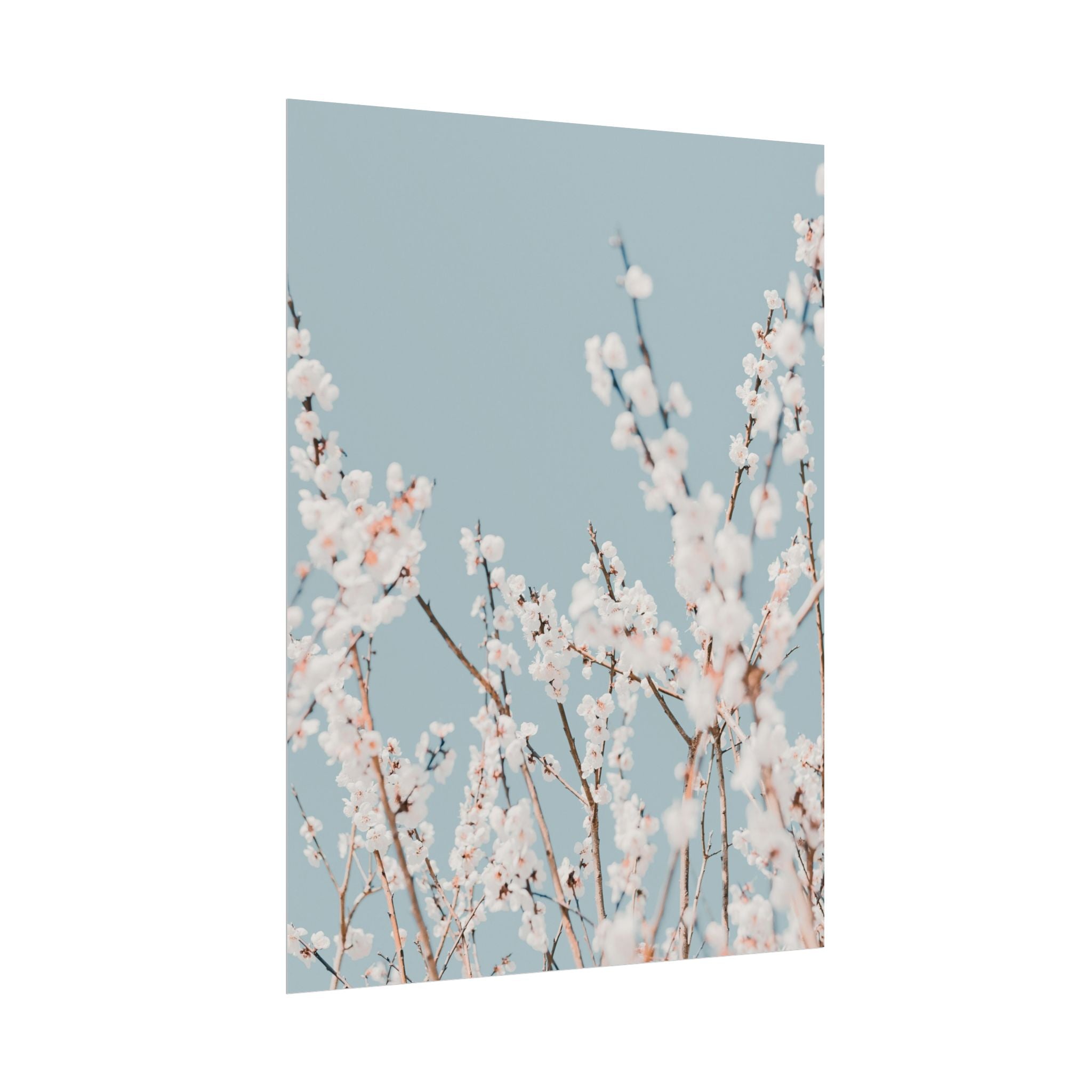 blossom-flowers-poster-print-minimalist-aesthetic-wall-art-fine-art-paper-home-decor-floral-decor-elegant-artwork