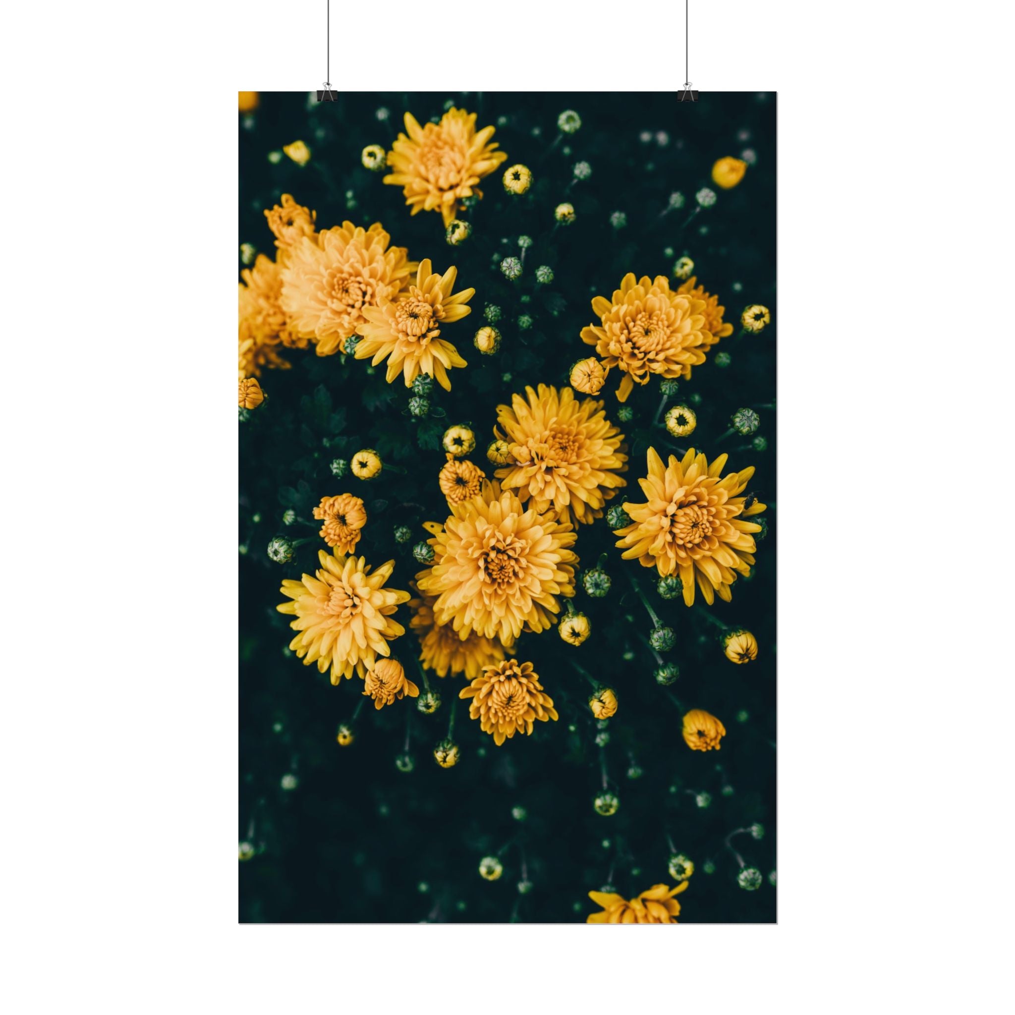 yellow-flower-art-poster-print-floral-wall-decor-floral-home-decor-gift-dark-botanical-art-print