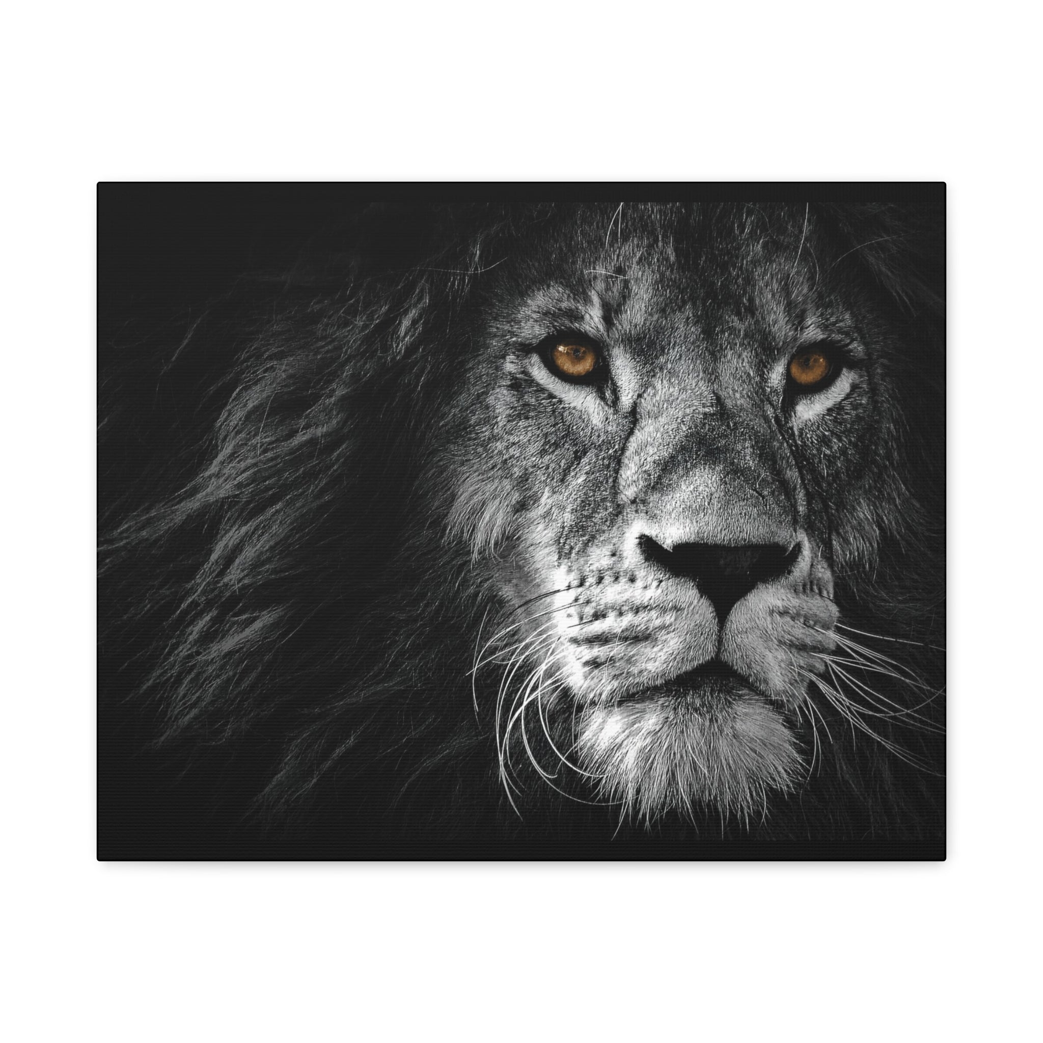canvas-print-lion-wall-art-black-and-white-living-room-decor-matte-stretched-lion-poster-jungle-animal-art-print-wildlife-saf