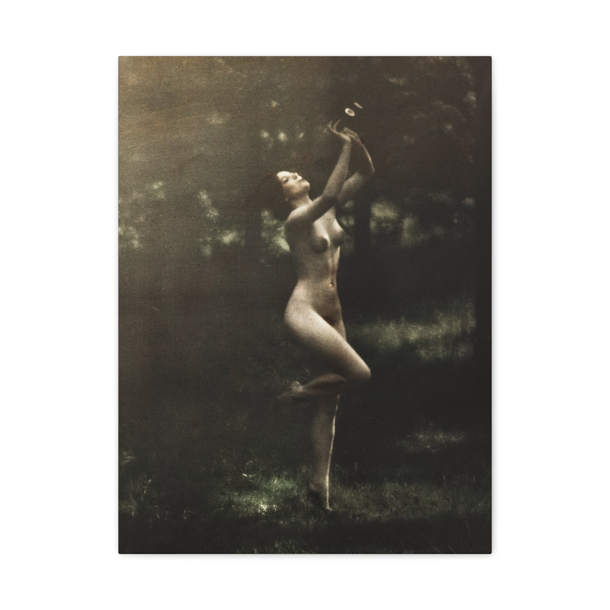 canvas-print-nude-dancer-by-arnold-genthe-nude-photography-nude-art-wall-decor-stretched-canvas-art-print-nature-photography