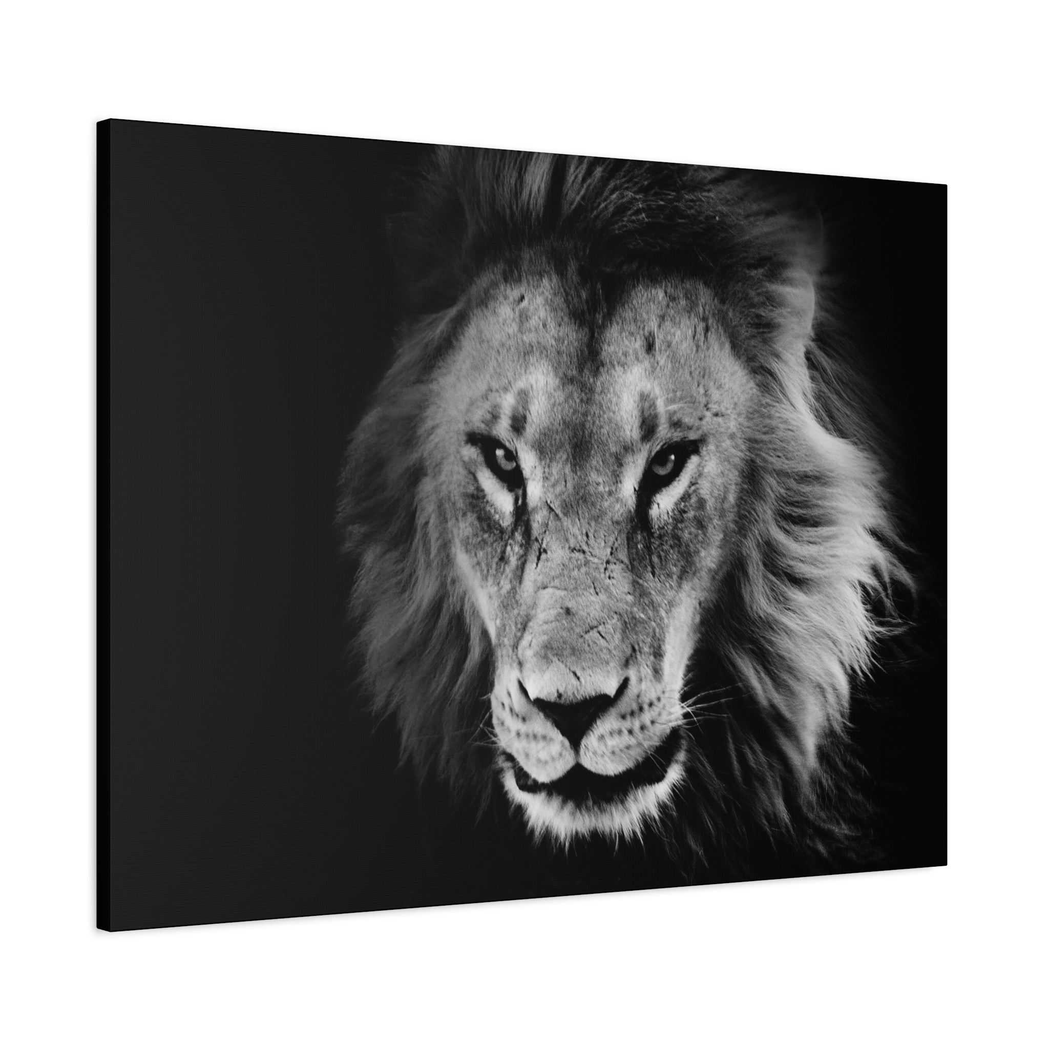 canvas-print-lion-wall-art-black-and-white-living-room-decor-matte-stretched-lion-poster-jungle-animal-art-print-wildlife-saf