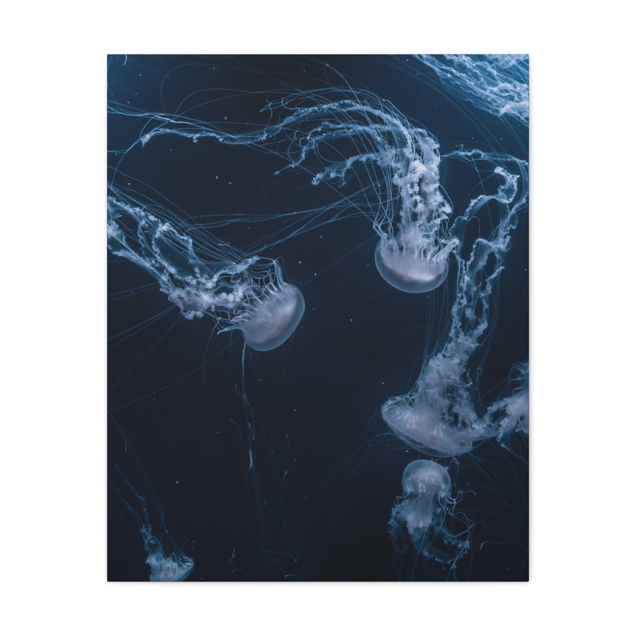 canvas-print-jellyfish-wall-art-wall-hanging-matte-canvas-ocean-life-deep-ocean-decor-home-decor-housewarming-gift