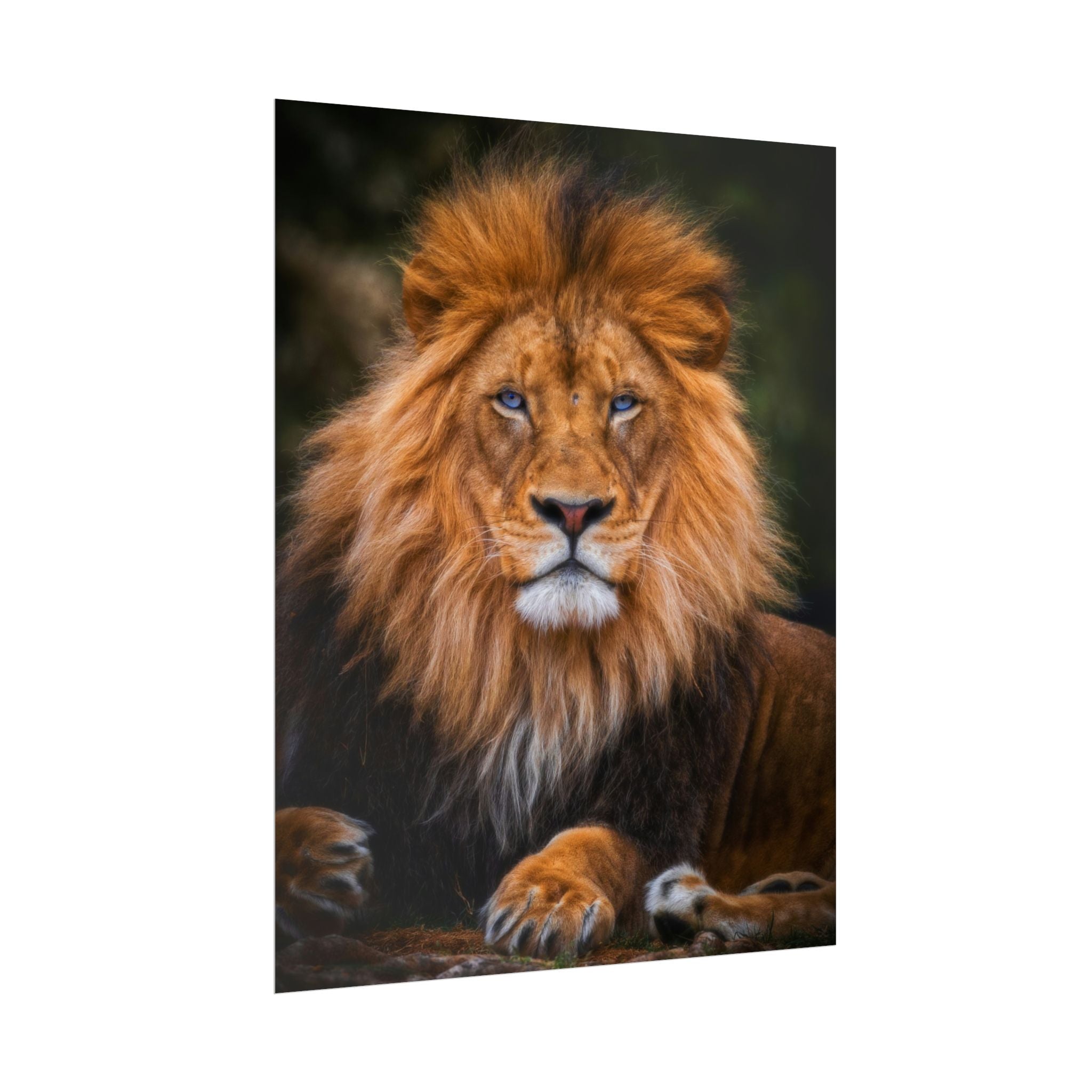 blue-eyed-lion-poster-wall-art-wildlife-home-decor-animal-lover-gift-safari-decoration-wildlife-art-print-lion-wall-decor