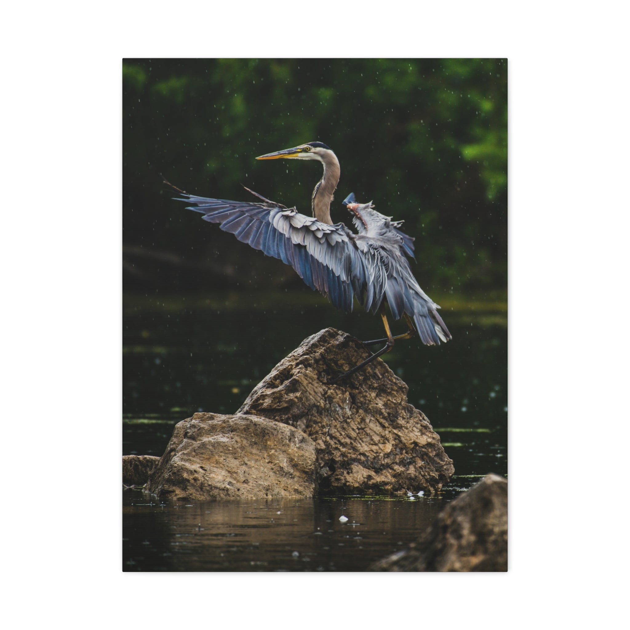 canvas-print-wall-art-great-blue-heron-matte-canvas-stretched-home-decor-bird-lover-gift-nature-wall-hanging-wildlife