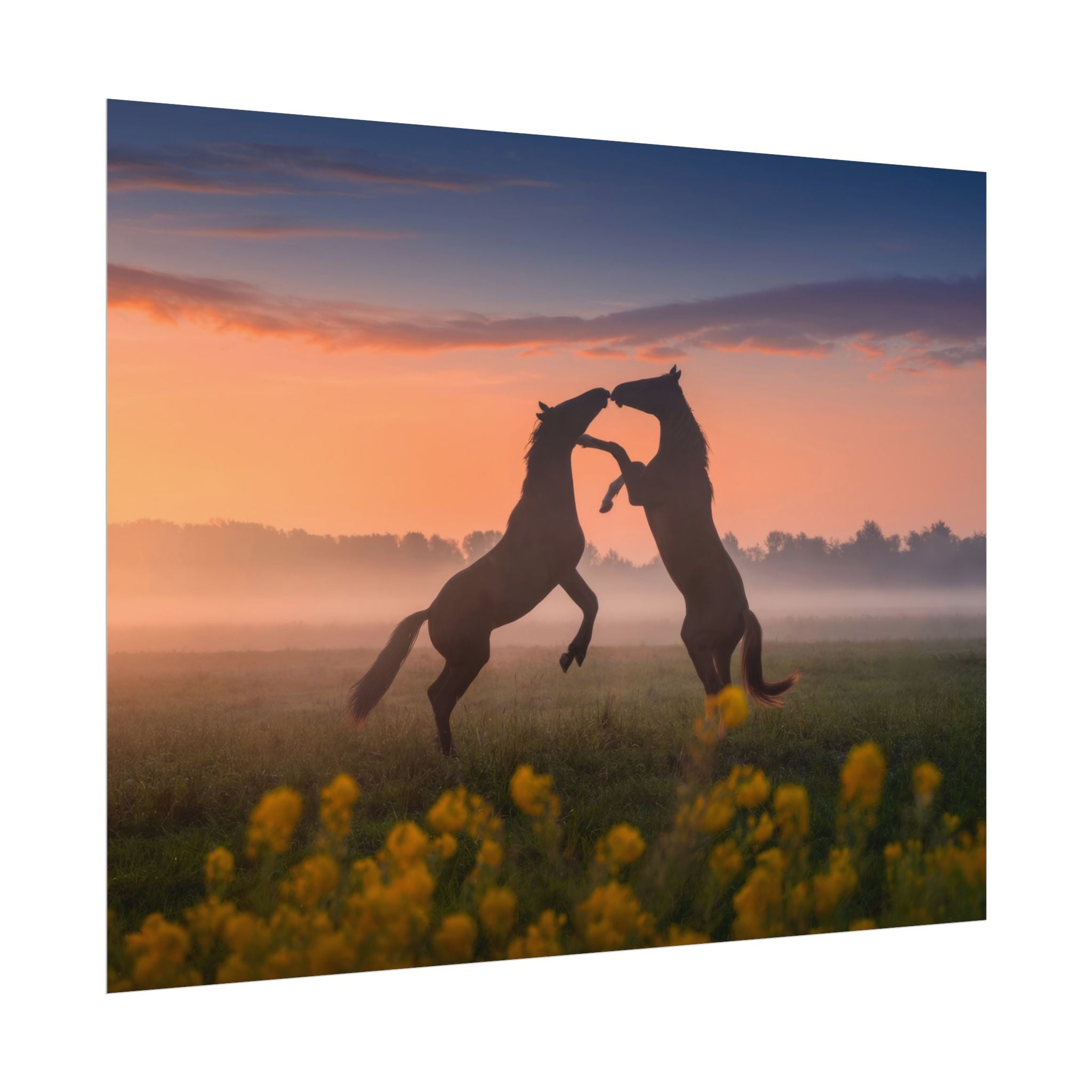 wild-rising-horses-poster-print-field-of-flowers-decor-home-decor-farmhouse-wall-decor-nature-wall-art-horse-Poster-print-mus
