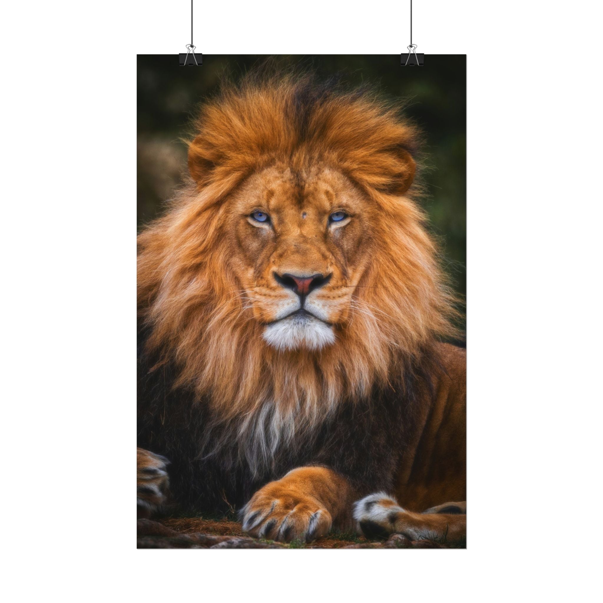 blue-eyed-lion-poster-wall-art-wildlife-home-decor-animal-lover-gift-safari-decoration-wildlife-art-print-lion-wall-decor