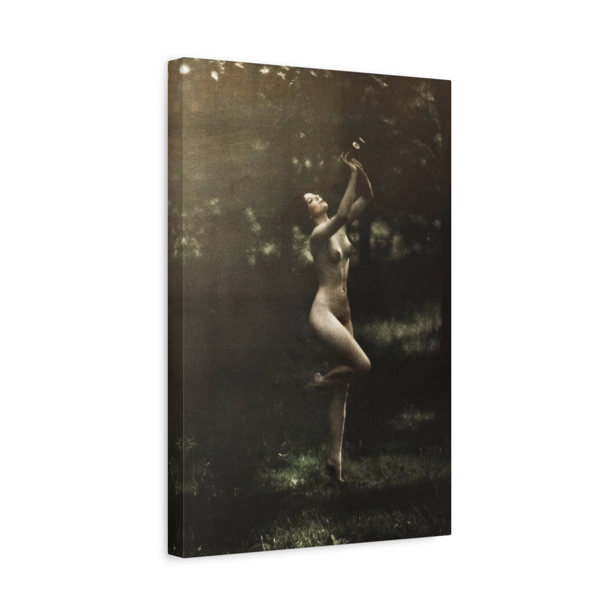 canvas-print-nude-dancer-by-arnold-genthe-nude-photography-nude-art-wall-decor-stretched-canvas-art-print-nature-photography