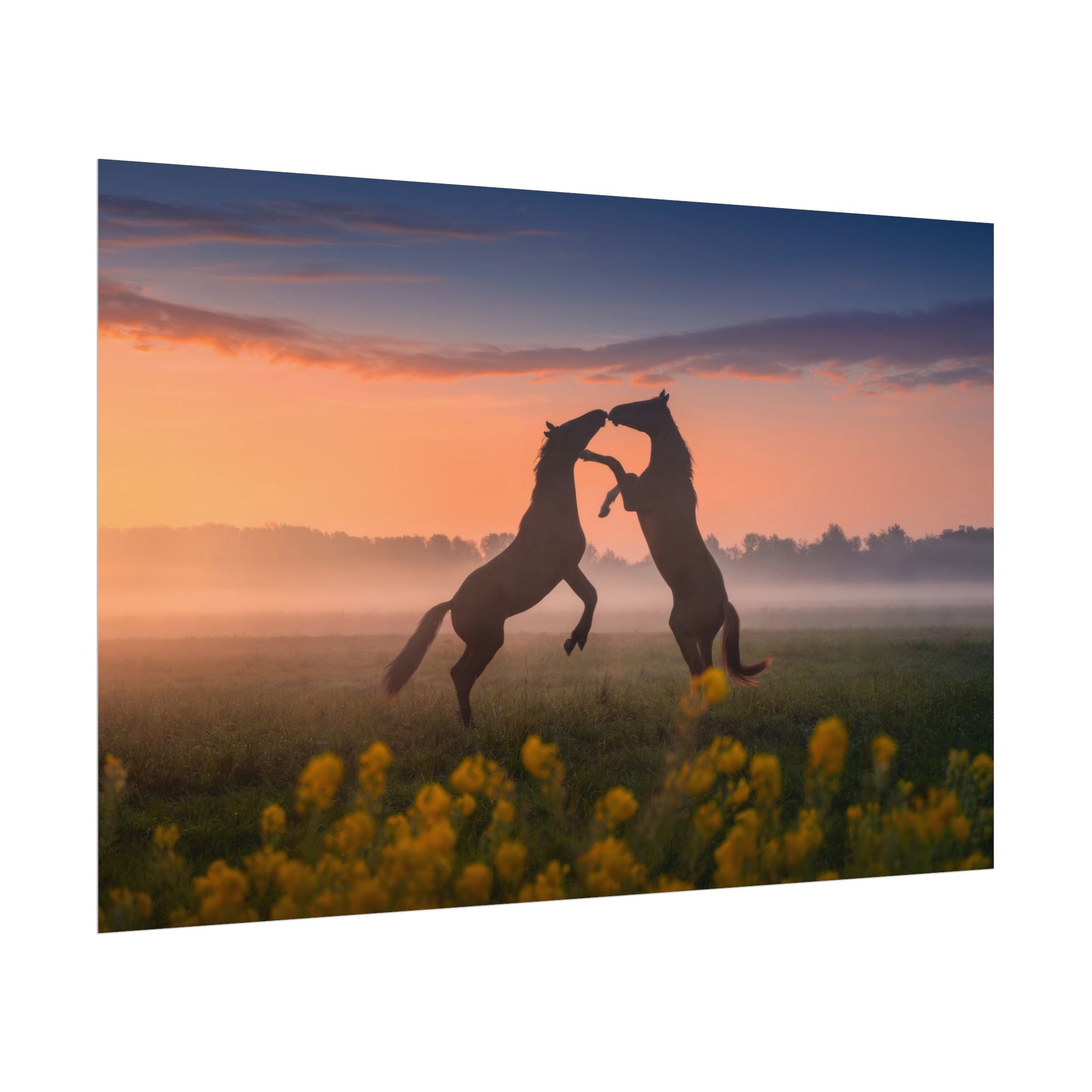 wild-rising-horses-poster-print-field-of-flowers-decor-home-decor-farmhouse-wall-decor-nature-wall-art-horse-Poster-print-mus