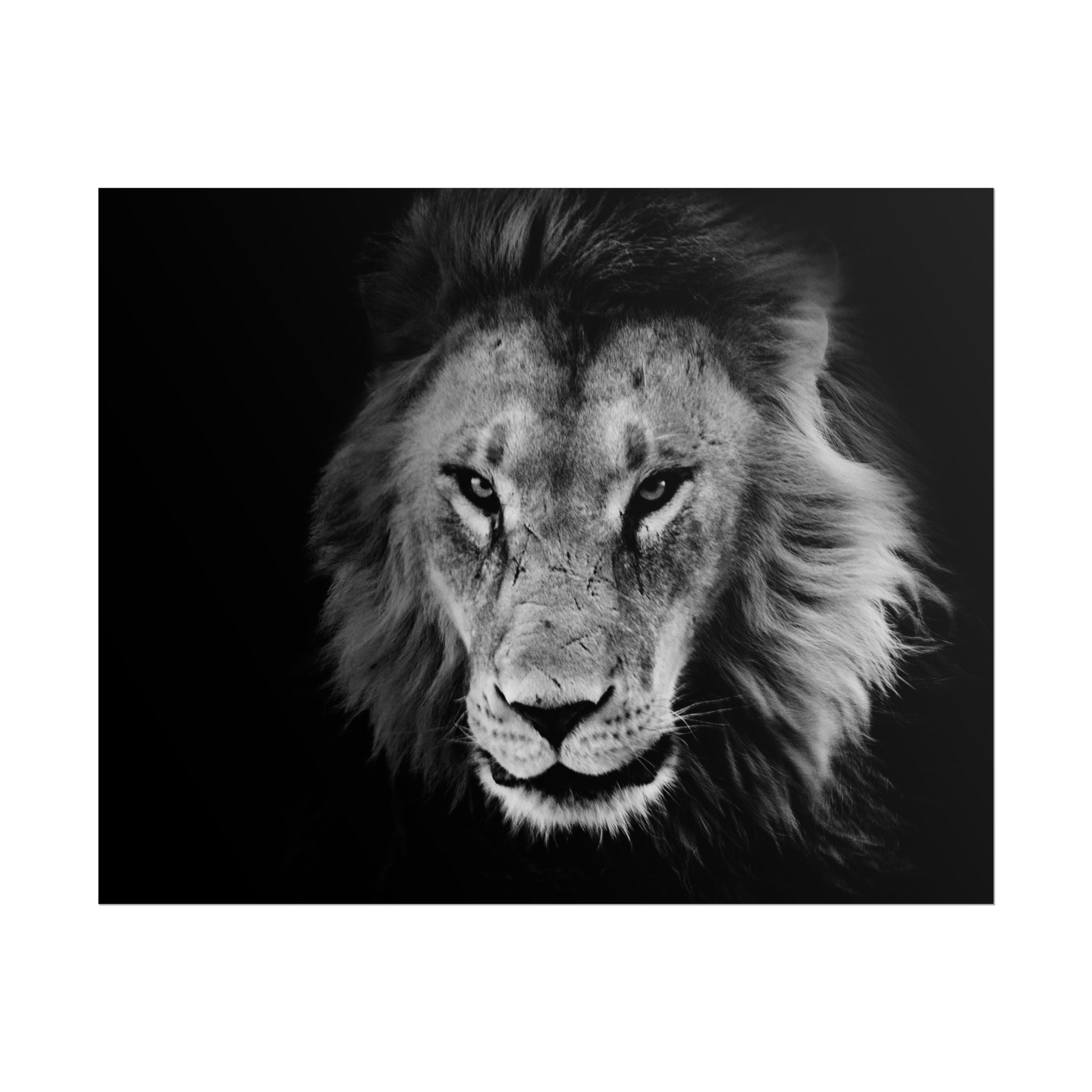 poster-print-lion-wall-art-black-and-white-living-room-decor-monochrome-art-lion-poster-jungle-animal-art-print-wildlife-safa