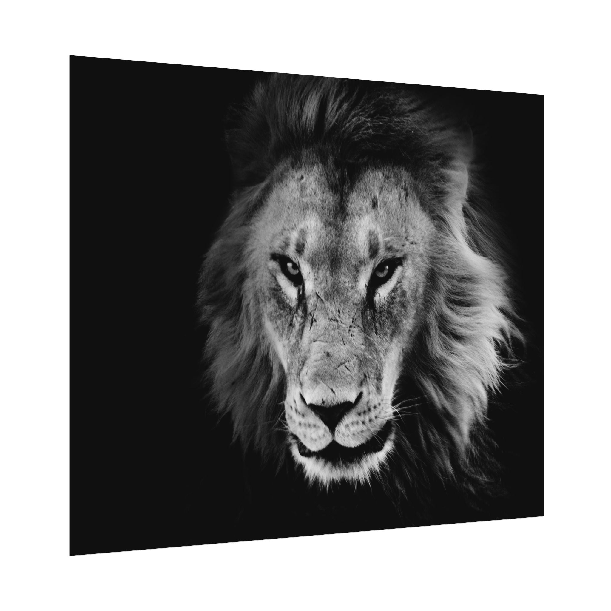 poster-print-lion-wall-art-black-and-white-living-room-decor-monochrome-art-lion-poster-jungle-animal-art-print-wildlife-safa