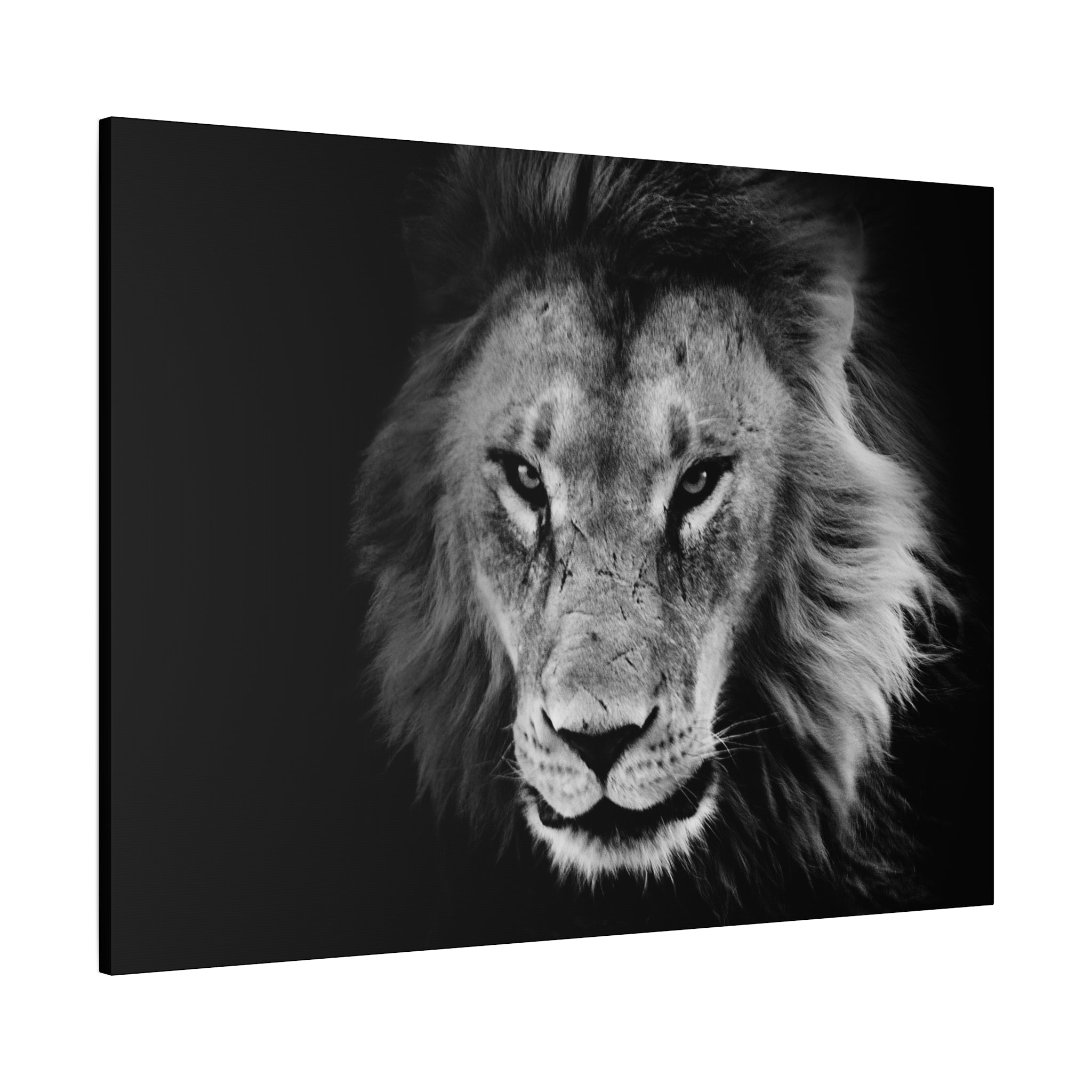 canvas-print-lion-wall-art-black-and-white-living-room-decor-matte-stretched-lion-poster-jungle-animal-art-print-wildlife-saf