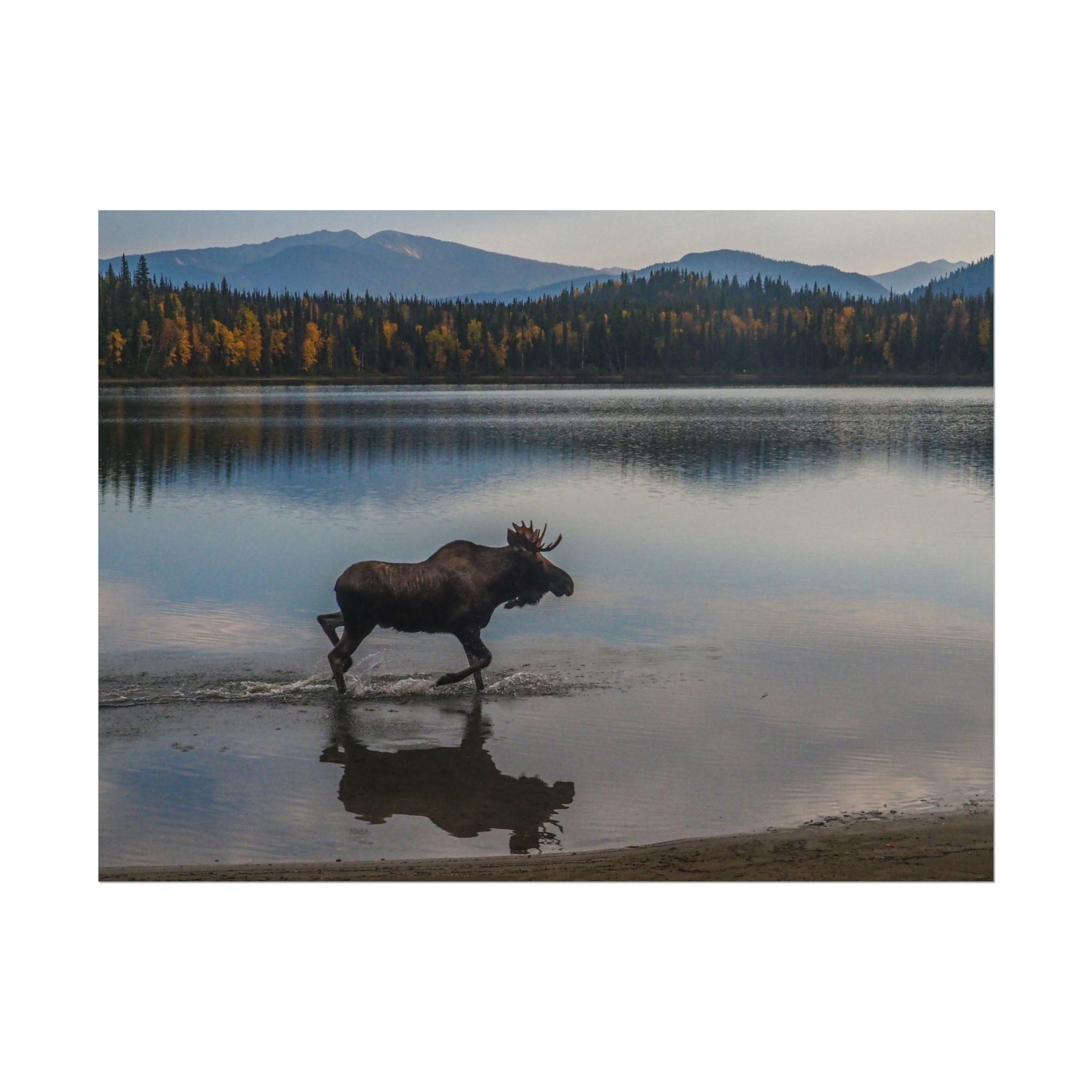 rustic-moose-poster-wall-decor-cabin-lodge-wildlife-painting-nature-home-decor-wilderness-animal-poster-farmhouse-wall-art