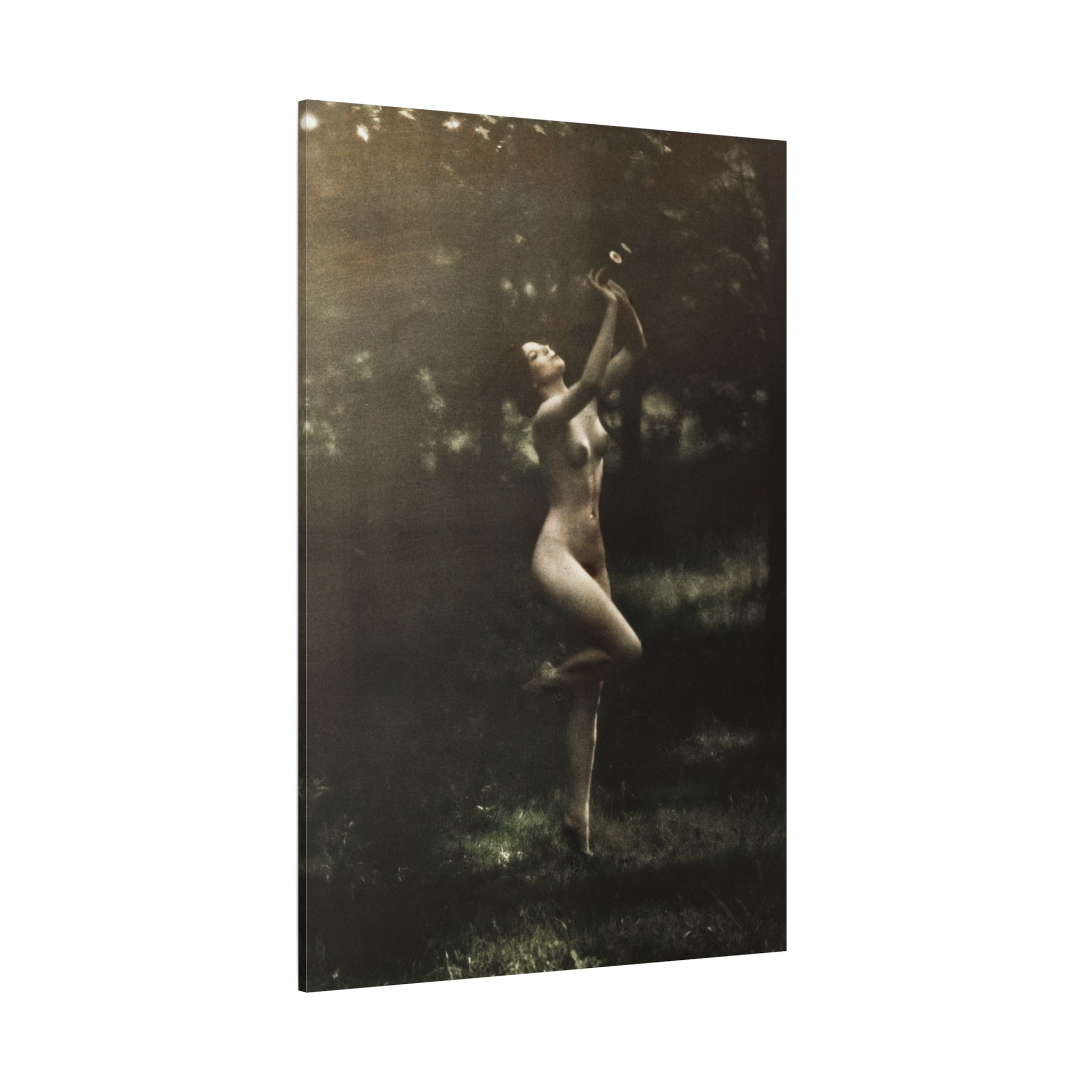 canvas-print-nude-dancer-by-arnold-genthe-nude-photography-nude-art-wall-decor-stretched-canvas-art-print-nature-photography
