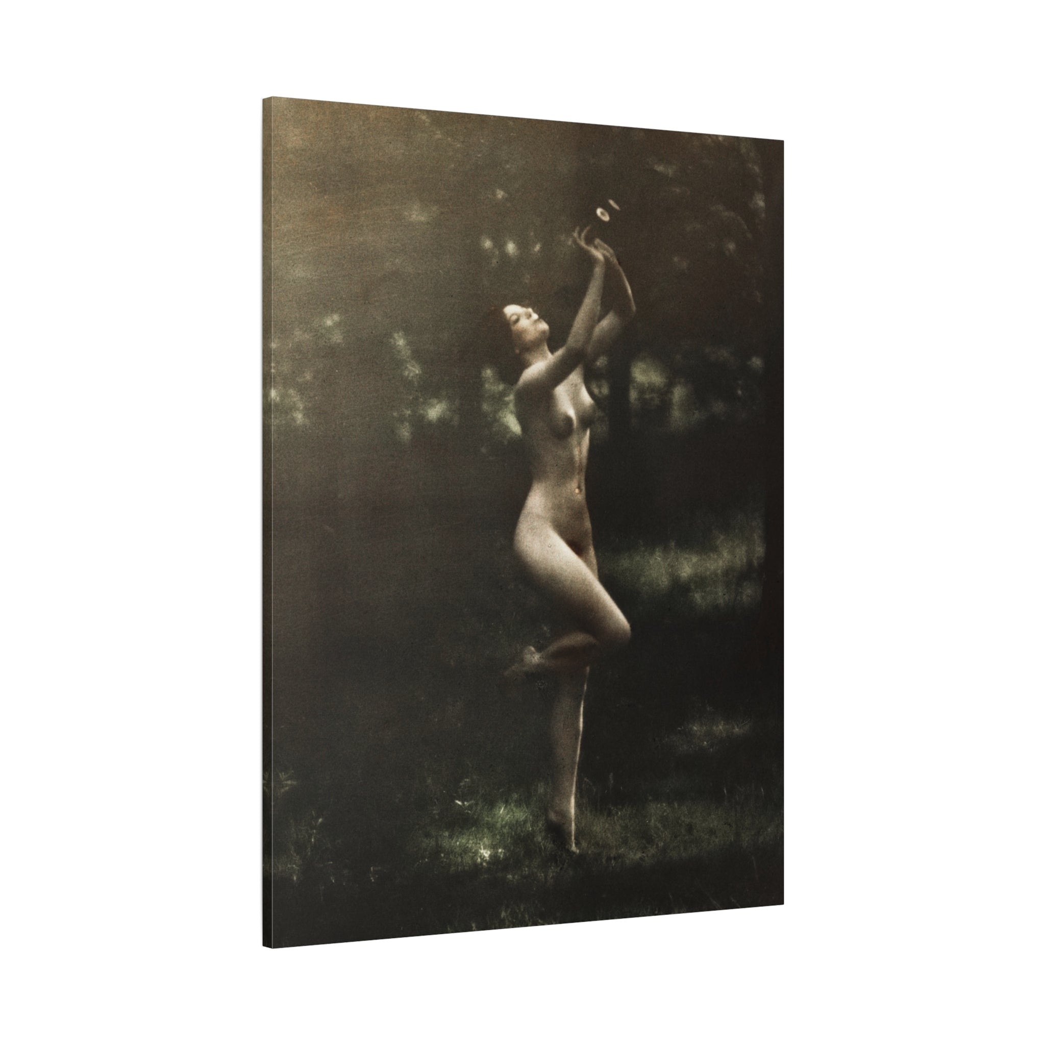canvas-print-nude-dancer-by-arnold-genthe-nude-photography-nude-art-wall-decor-stretched-canvas-art-print-nature-photography