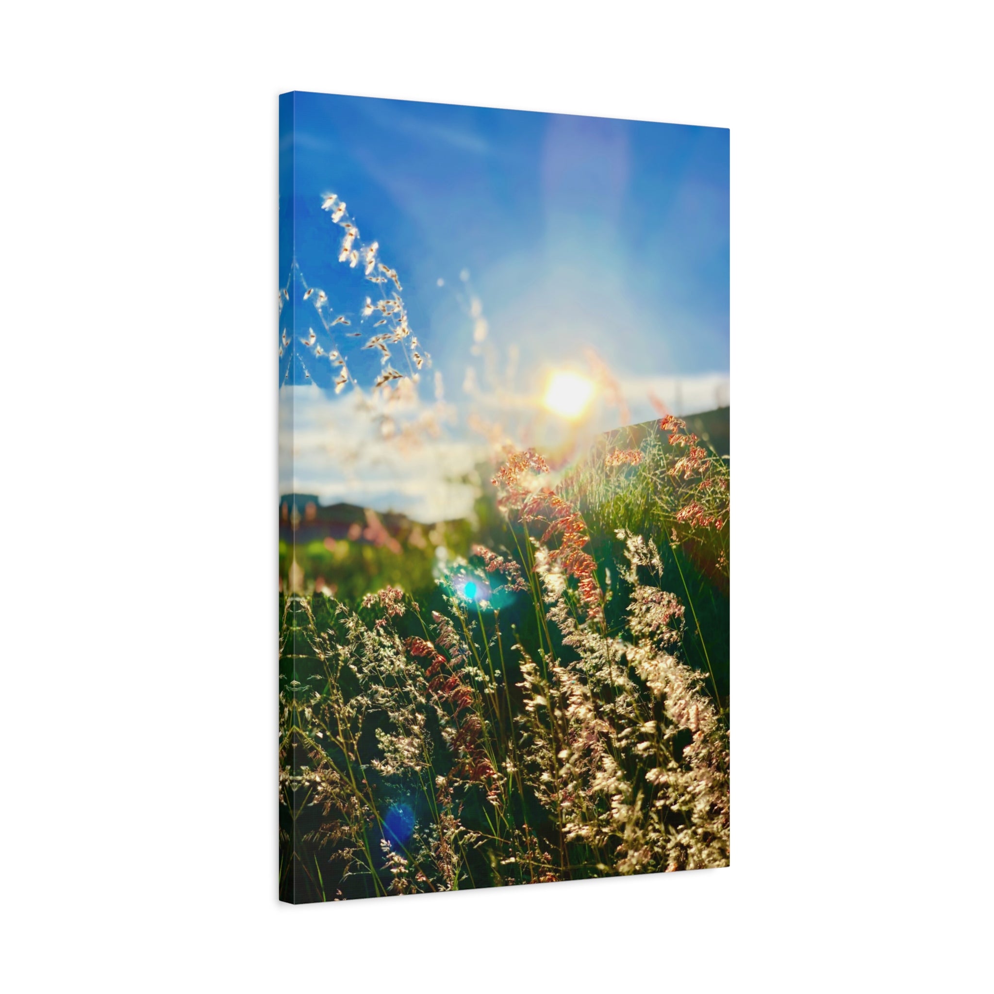canvas-print-morning-sun-spring-home-decor-matte-wall-art-stretched-painting-1-25-inch-nature-photography-living-room-bedroom