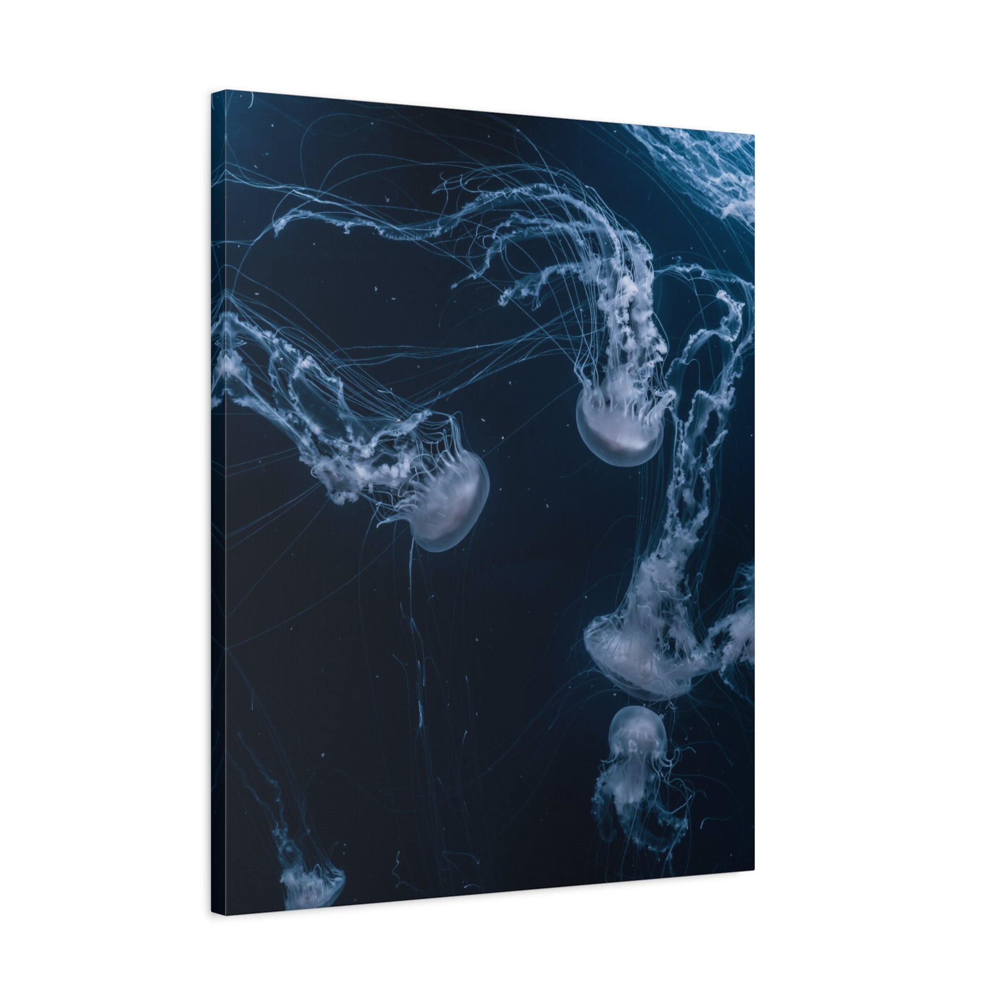 canvas-print-jellyfish-wall-art-wall-hanging-matte-canvas-ocean-life-deep-ocean-decor-home-decor-housewarming-gift