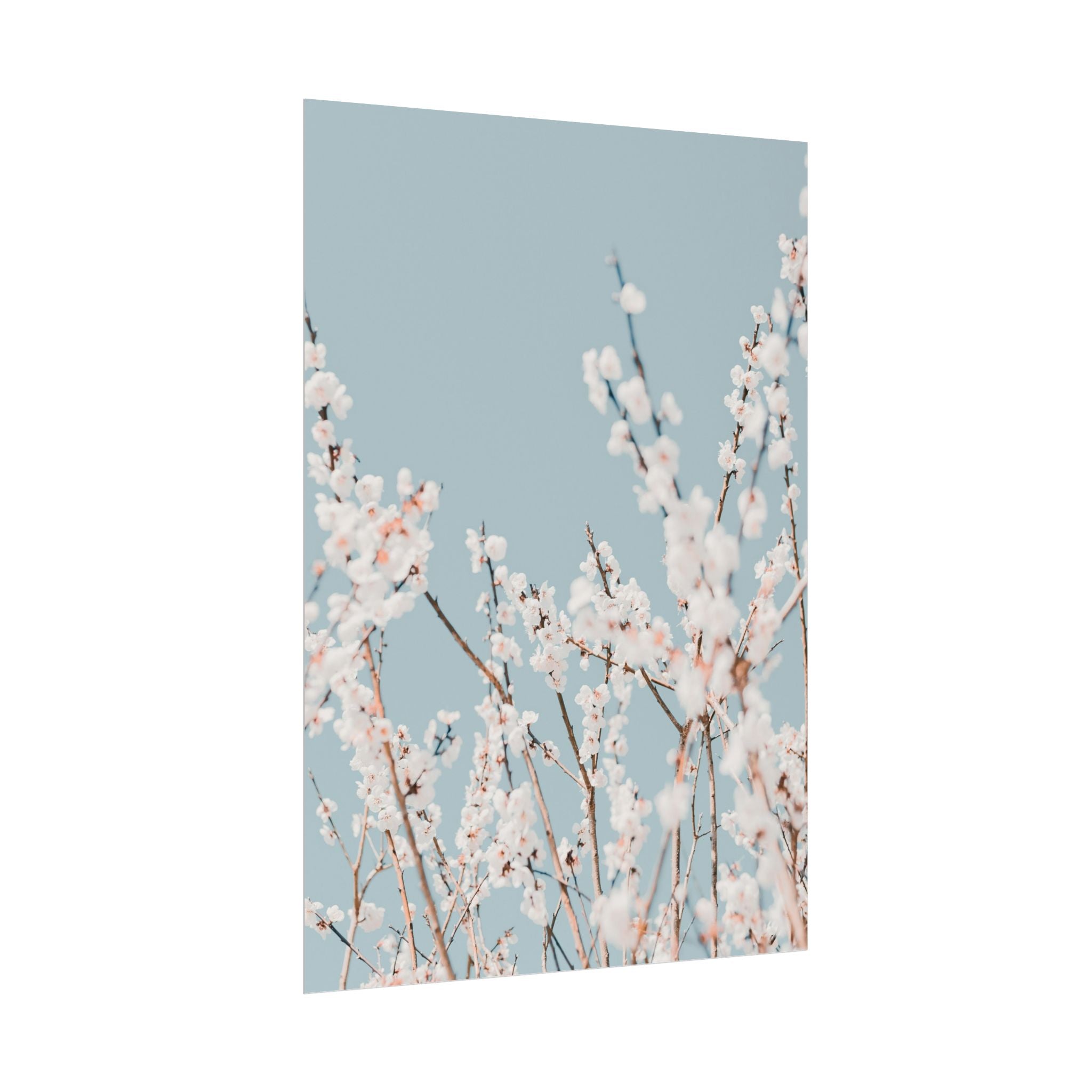 blossom-flowers-poster-print-minimalist-aesthetic-wall-art-fine-art-paper-home-decor-floral-decor-elegant-artwork