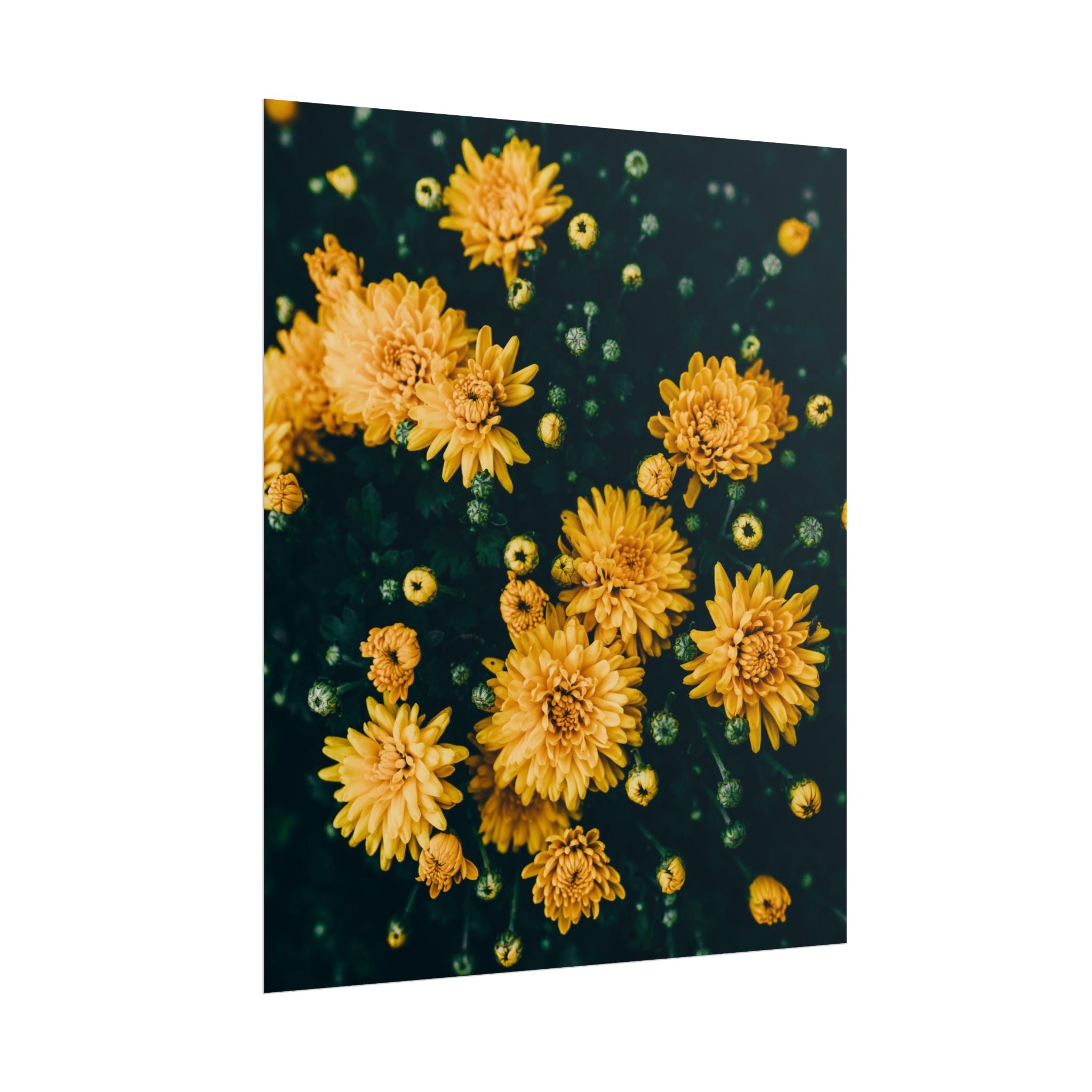 yellow-flower-art-poster-print-floral-wall-decor-floral-home-decor-gift-dark-botanical-art-print