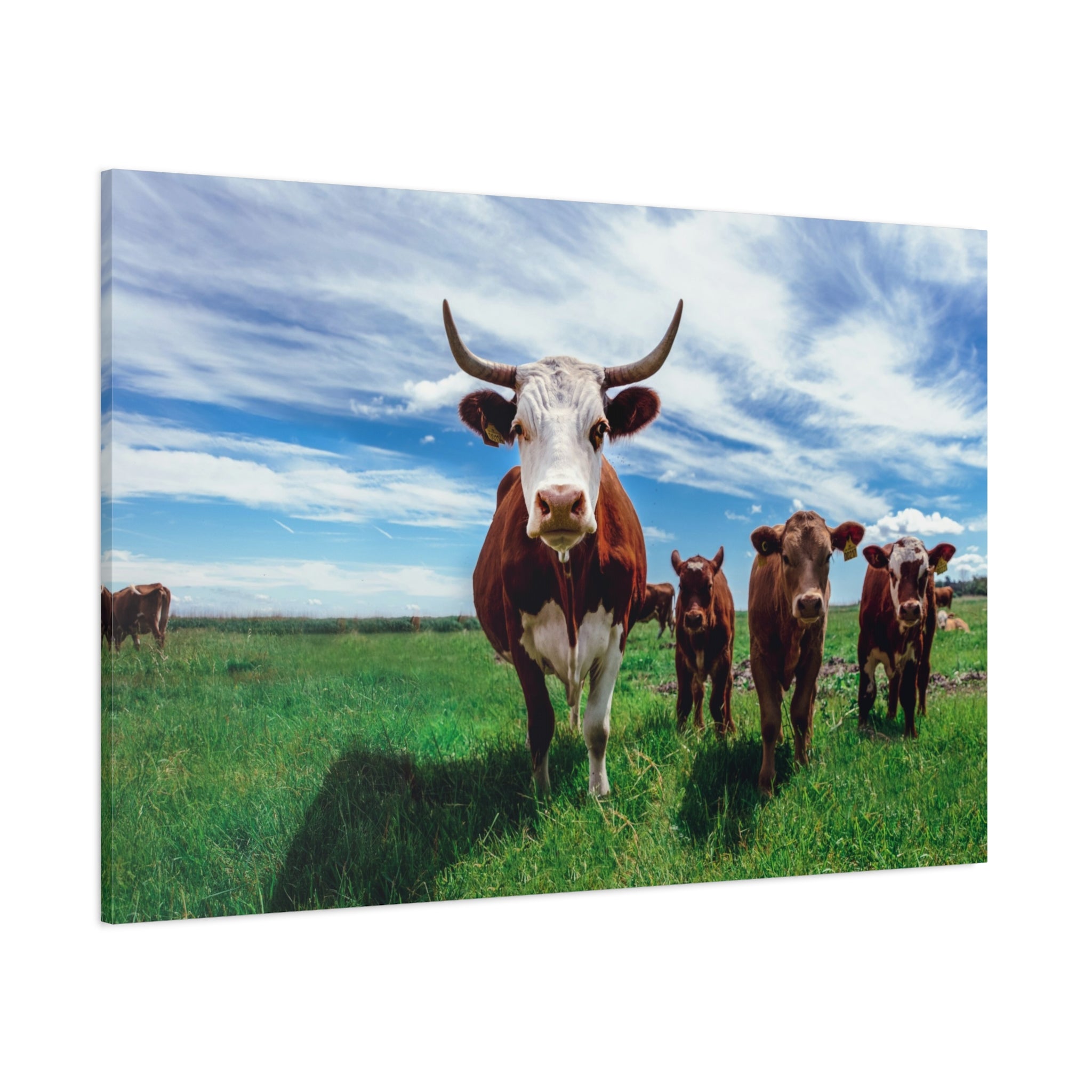 canvas-print-cow-art-home-decor-wall-art-farmhouse-art-living-room-decor-matte-canvas-print-cow-lovers-gift