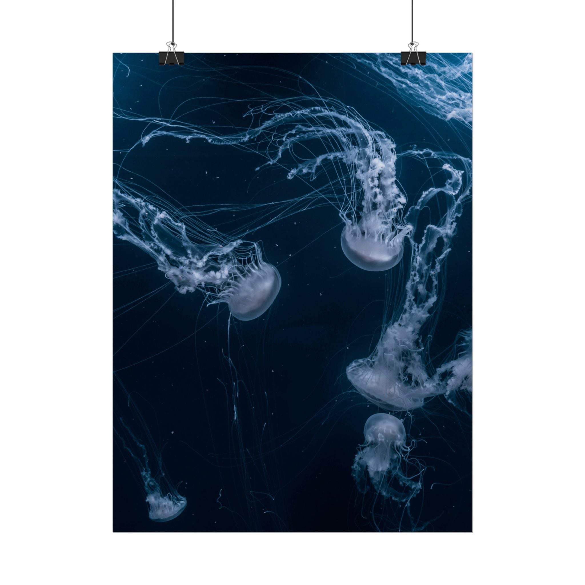long-jellyfish-wall-art-poster-print-wall-hanging-ocean-life-deep-ocean-decor-home-decor-housewarming-gift