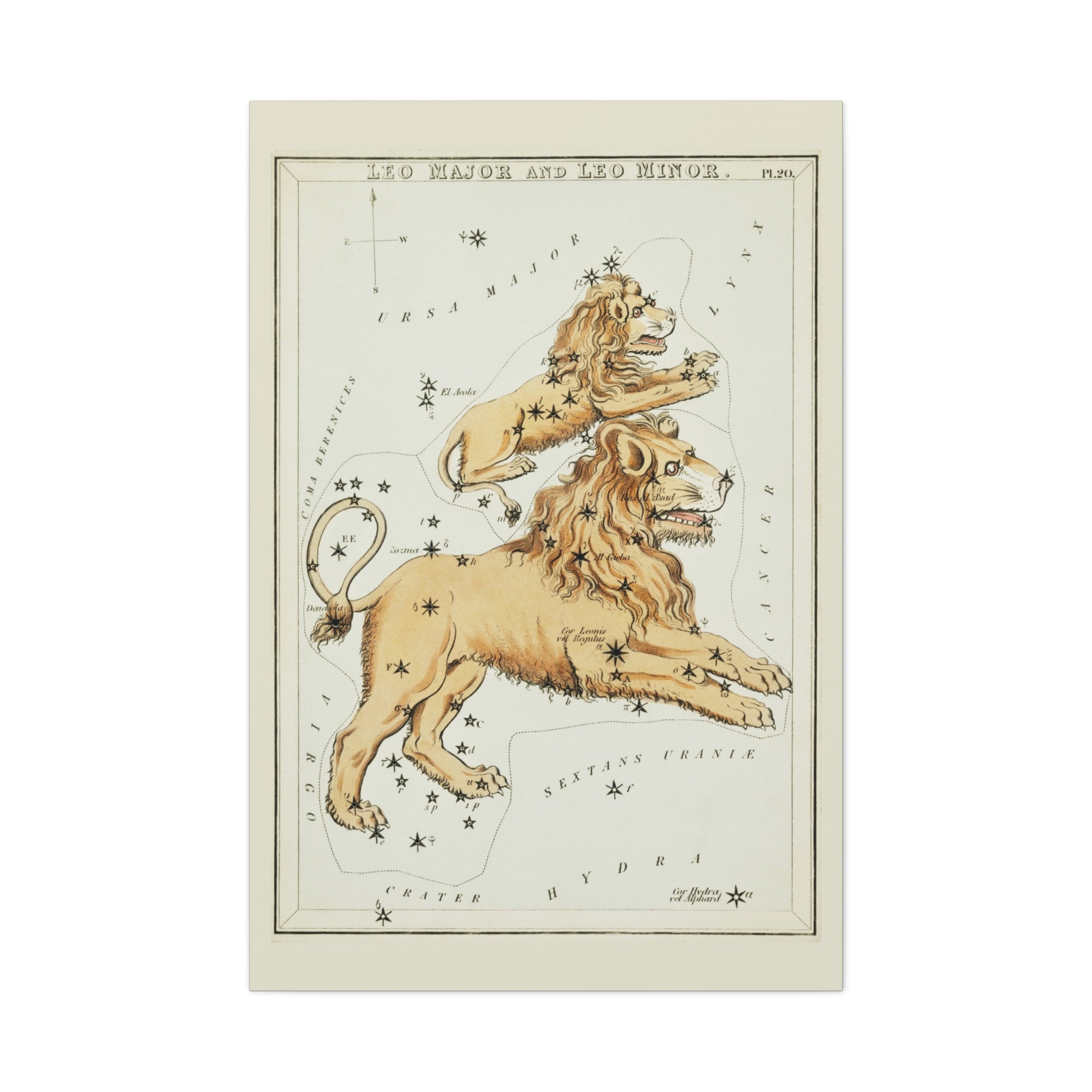 canvas-print-star-map-leo-major-leo-minor-celestial-gift-vintage-map-celestial-map-wall-art-decor-astronomy-decor-constellati