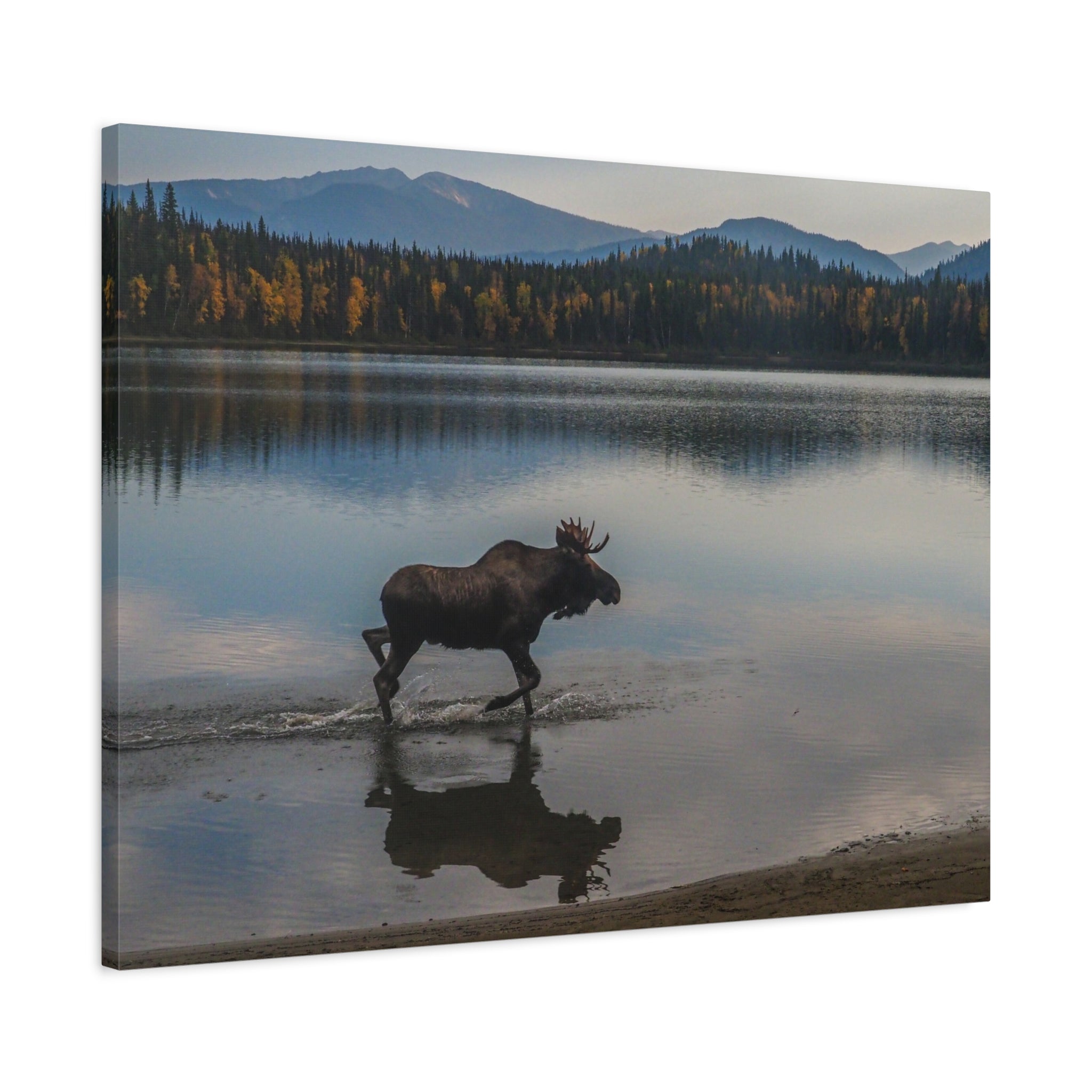 canvas-art-print-rustic-moose-wall-decor-cabin-lodge-wildlife-painting-nature-home-decor-wilderness-animal-poster-farmhouse-w