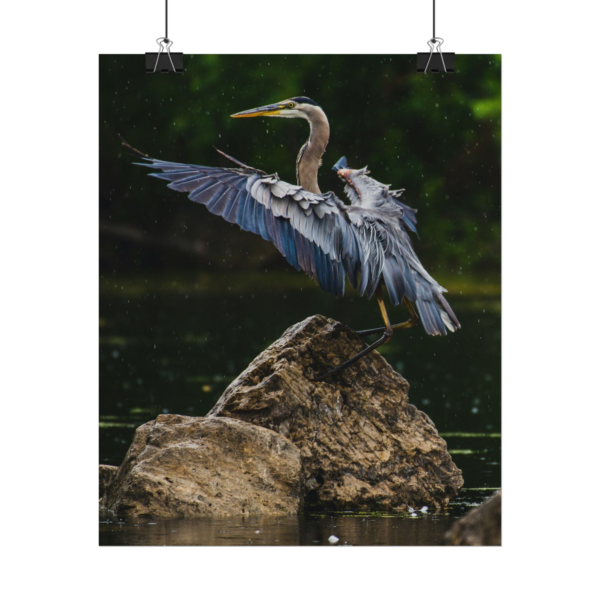 great-blue-heron-poster-wall-art-home-decor-bird-lover-gift-nature-wall-hanging-wildlife-poster