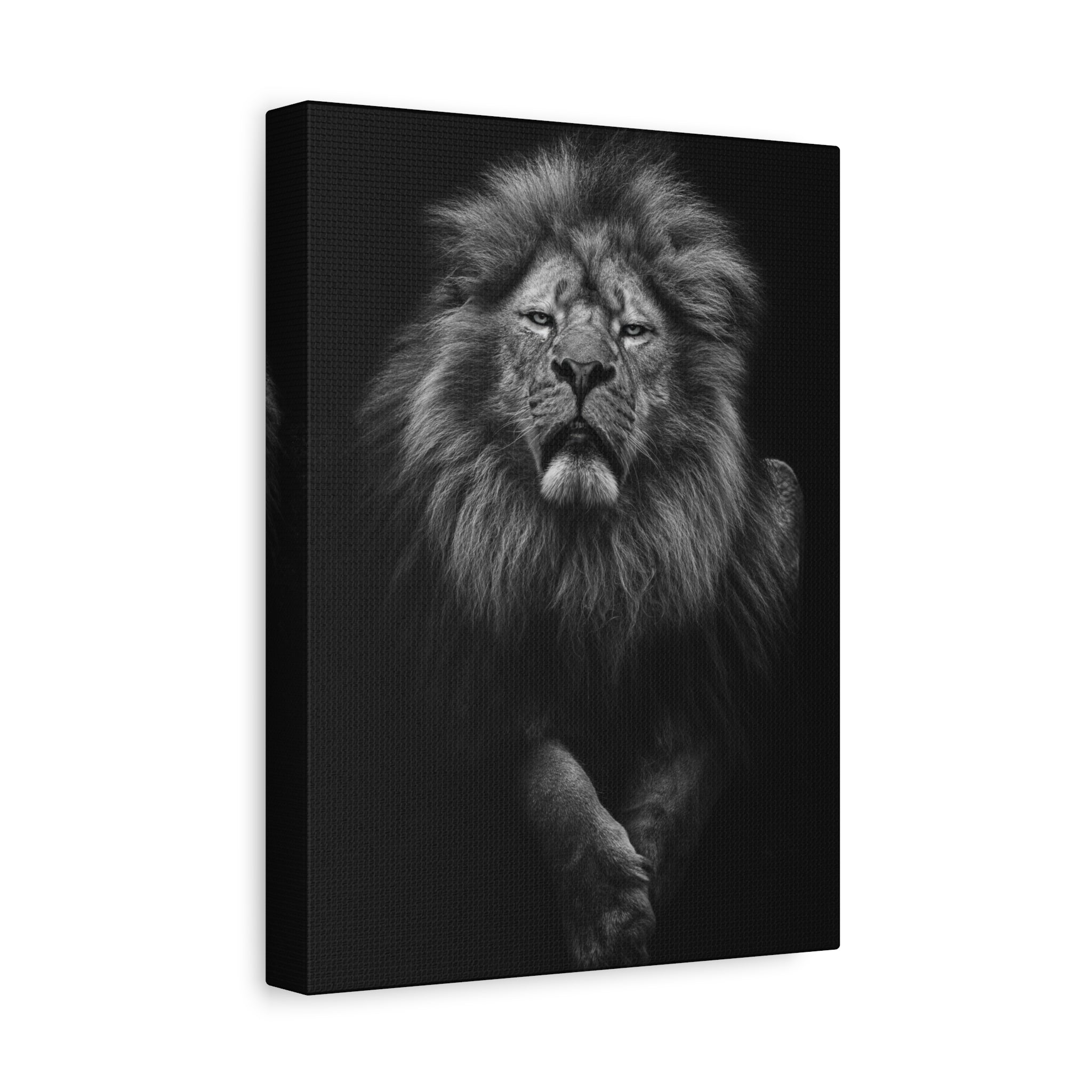 canvas-print-lion-wall-art-black-and-white-living-room-decor-matte-stretched-lion-poster-jungle-animal-art-print-wildlife-saf