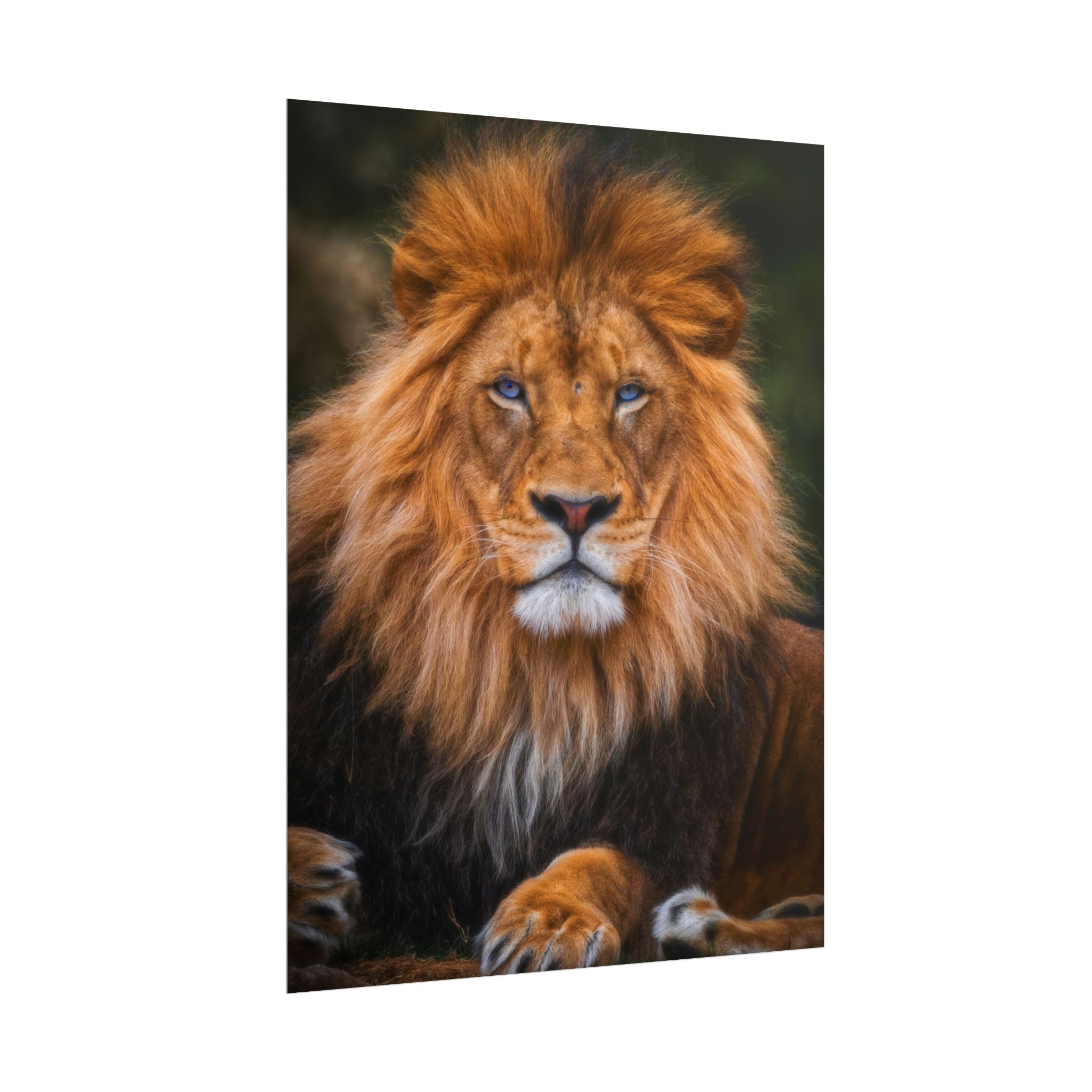 blue-eyed-lion-poster-wall-art-wildlife-home-decor-animal-lover-gift-safari-decoration-wildlife-art-print-lion-wall-decor