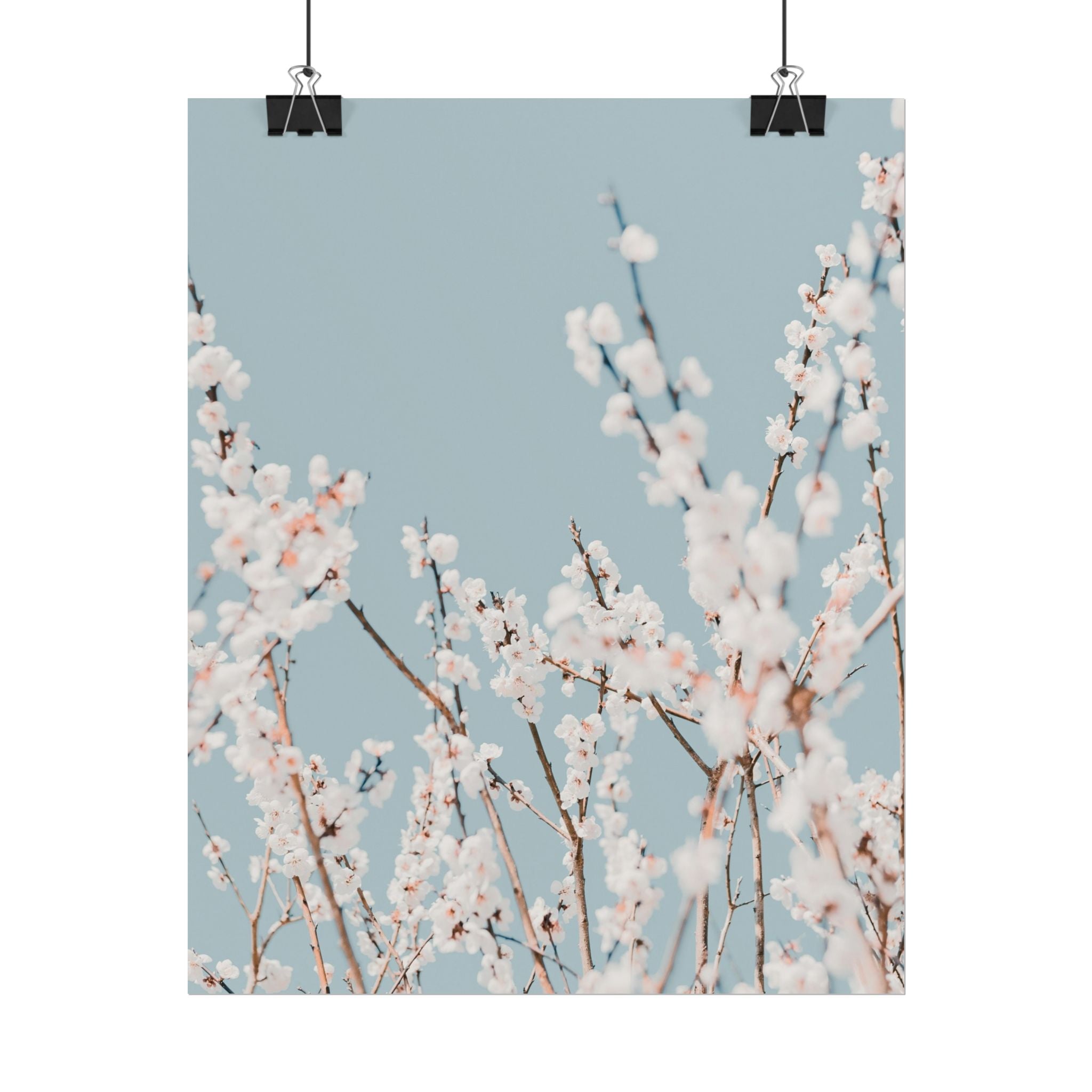blossom-flowers-poster-print-minimalist-aesthetic-wall-art-fine-art-paper-home-decor-floral-decor-elegant-artwork