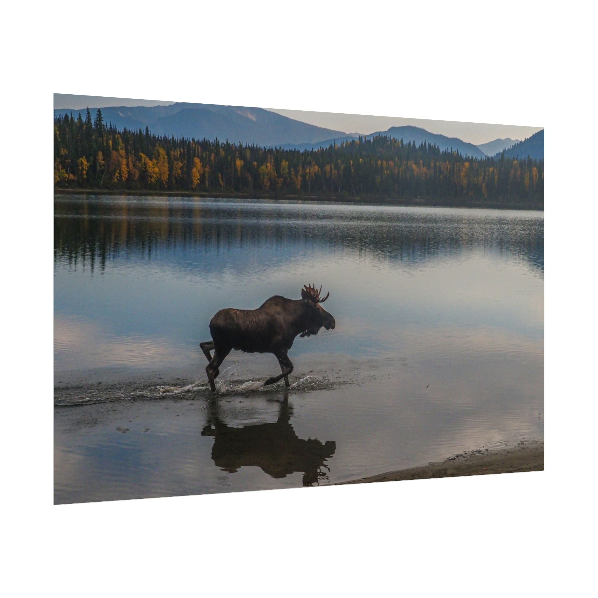 rustic-moose-poster-wall-decor-cabin-lodge-wildlife-painting-nature-home-decor-wilderness-animal-poster-farmhouse-wall-art