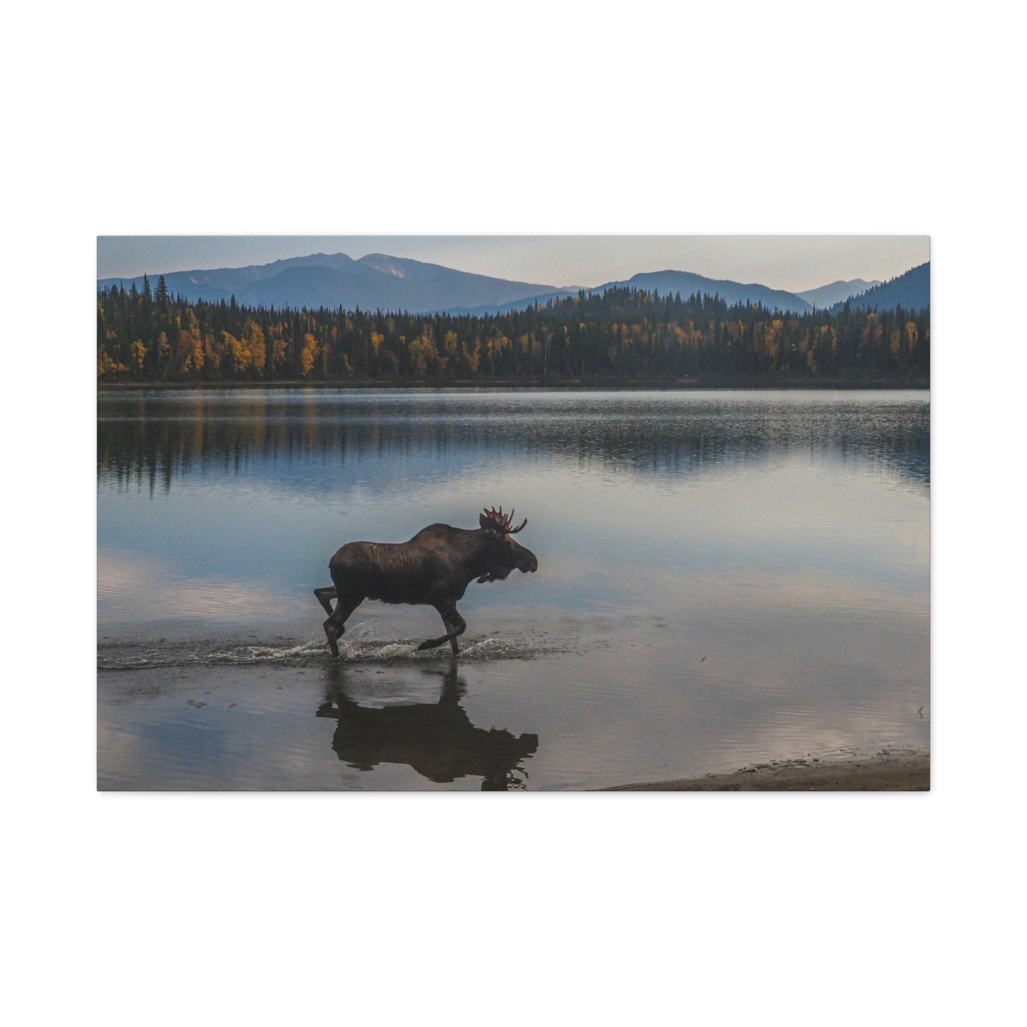 canvas-art-print-rustic-moose-wall-decor-cabin-lodge-wildlife-painting-nature-home-decor-wilderness-animal-poster-farmhouse-w