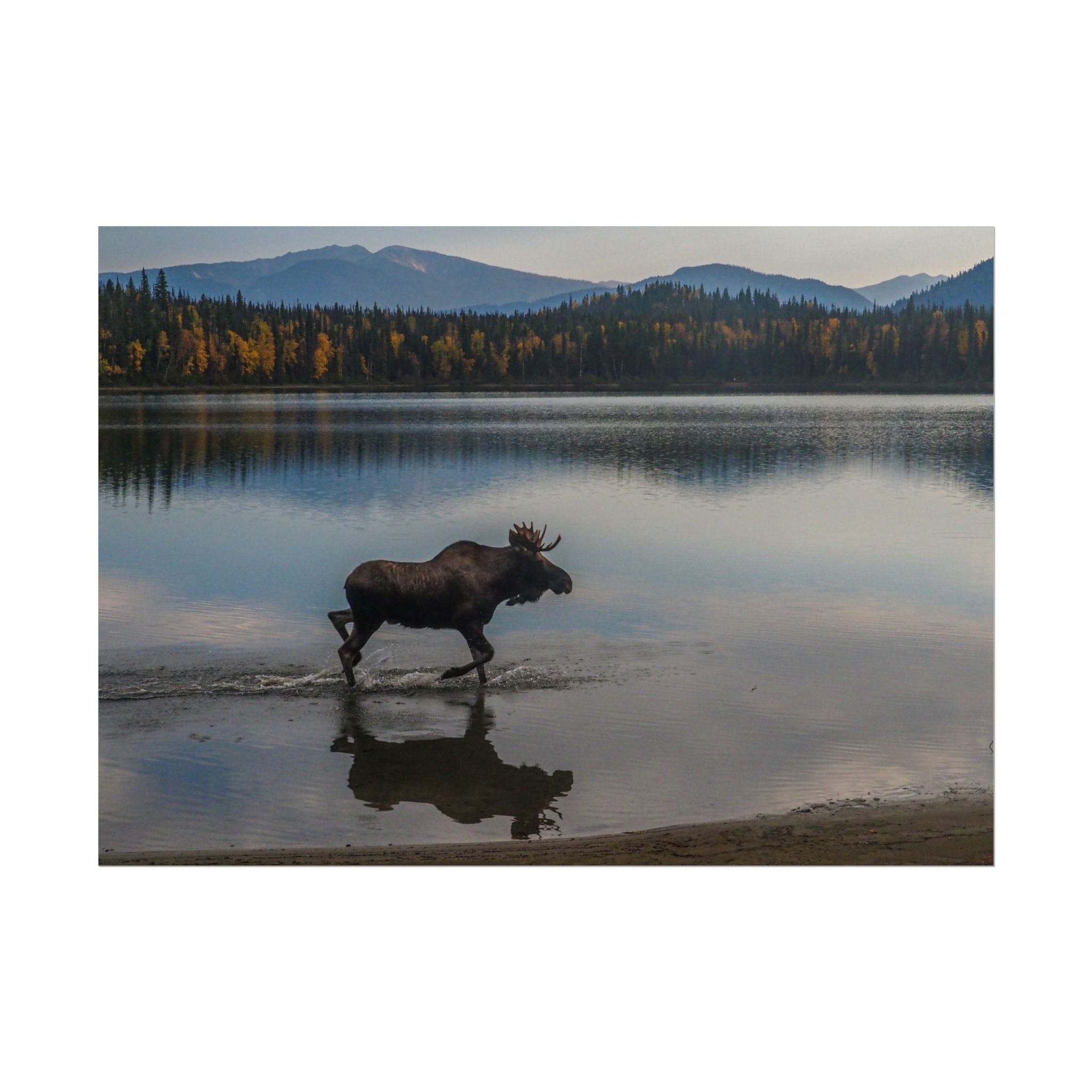 rustic-moose-poster-wall-decor-cabin-lodge-wildlife-painting-nature-home-decor-wilderness-animal-poster-farmhouse-wall-art