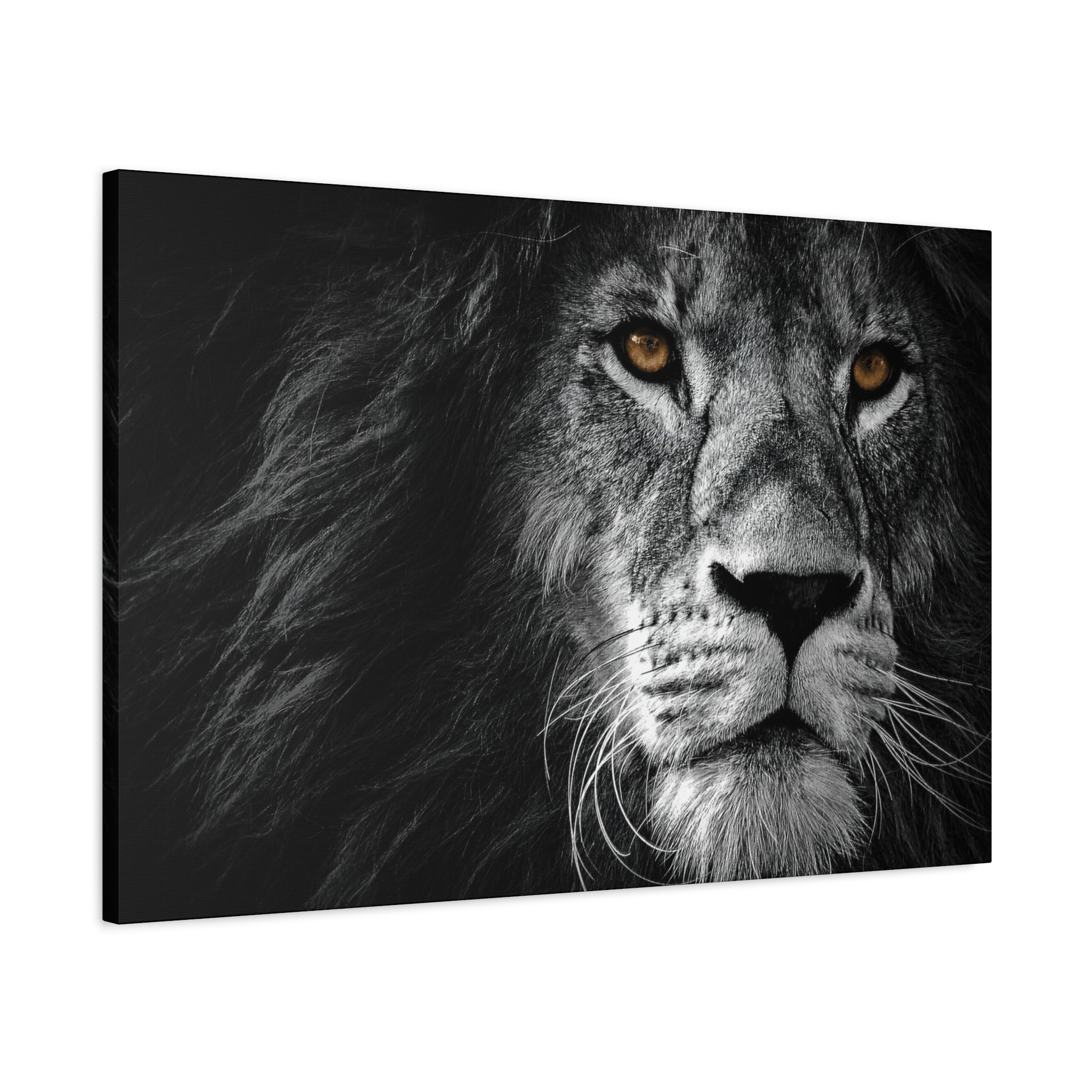 canvas-print-lion-wall-art-black-and-white-living-room-decor-matte-stretched-lion-poster-jungle-animal-art-print-wildlife-saf