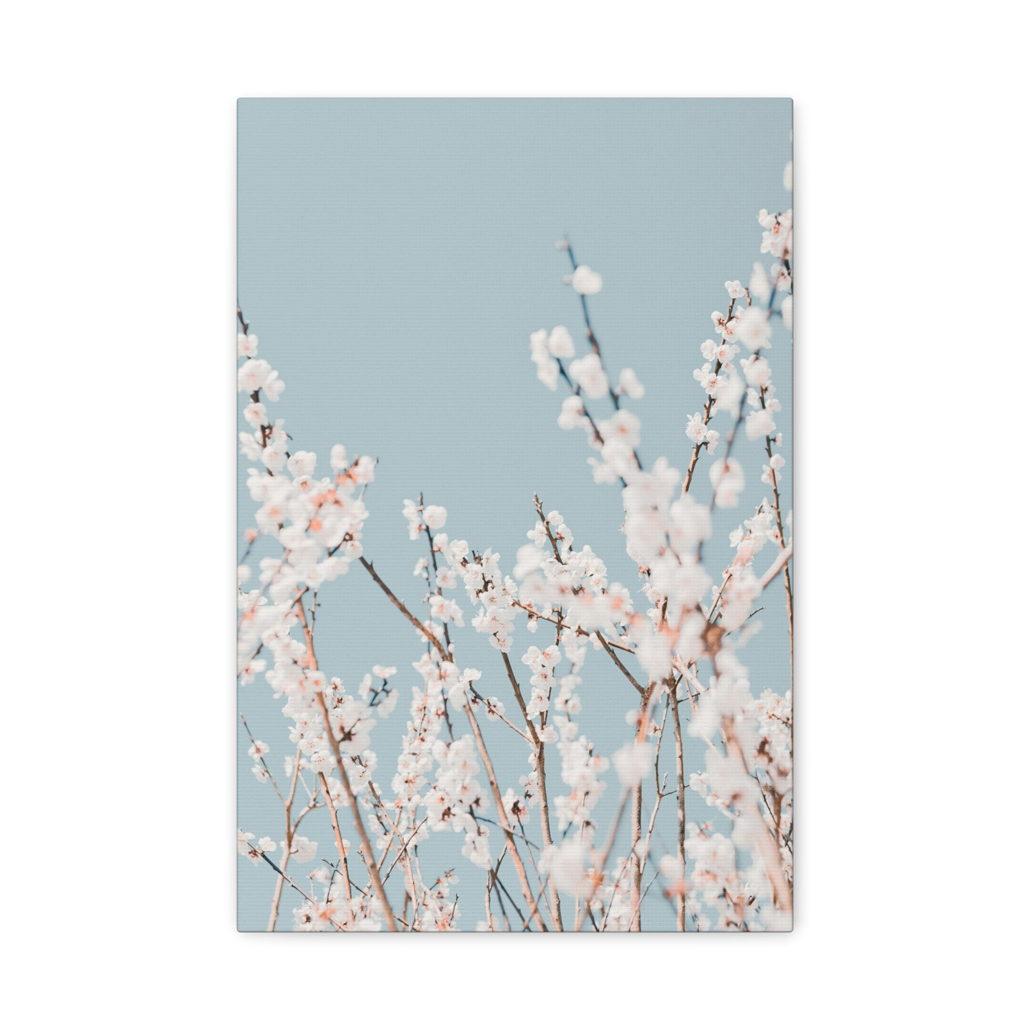 canvas-print-blossom-flowers-minimalist-aesthetic-wall-art-matte-stretched-1-25in-home-decor-floral-decor-elegant-artwork
