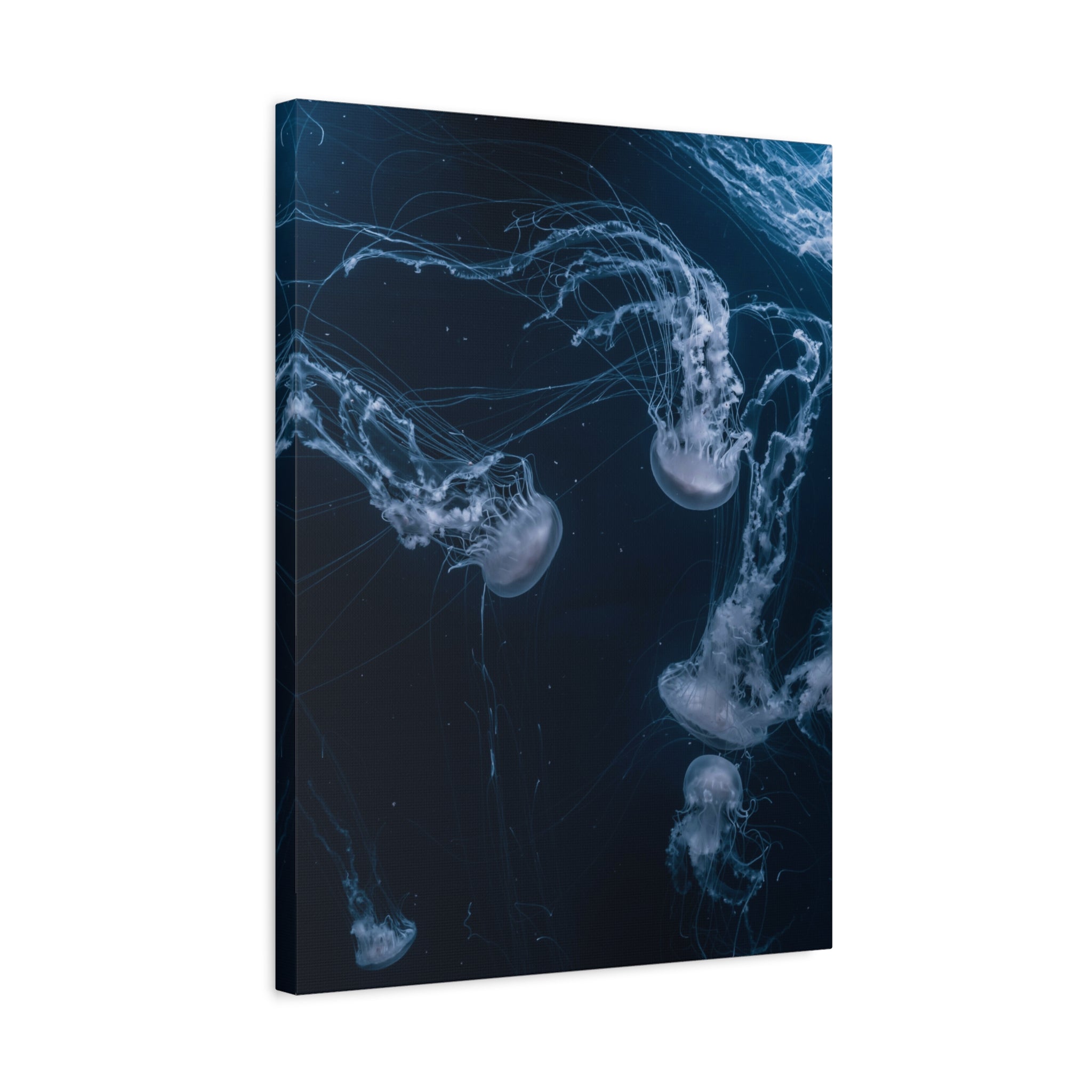 canvas-print-jellyfish-wall-art-wall-hanging-matte-canvas-ocean-life-deep-ocean-decor-home-decor-housewarming-gift