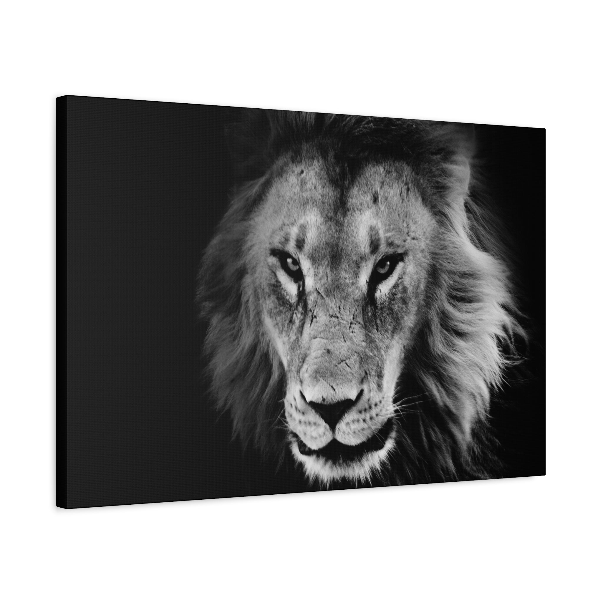 canvas-print-lion-wall-art-black-and-white-living-room-decor-matte-stretched-lion-poster-jungle-animal-art-print-wildlife-saf