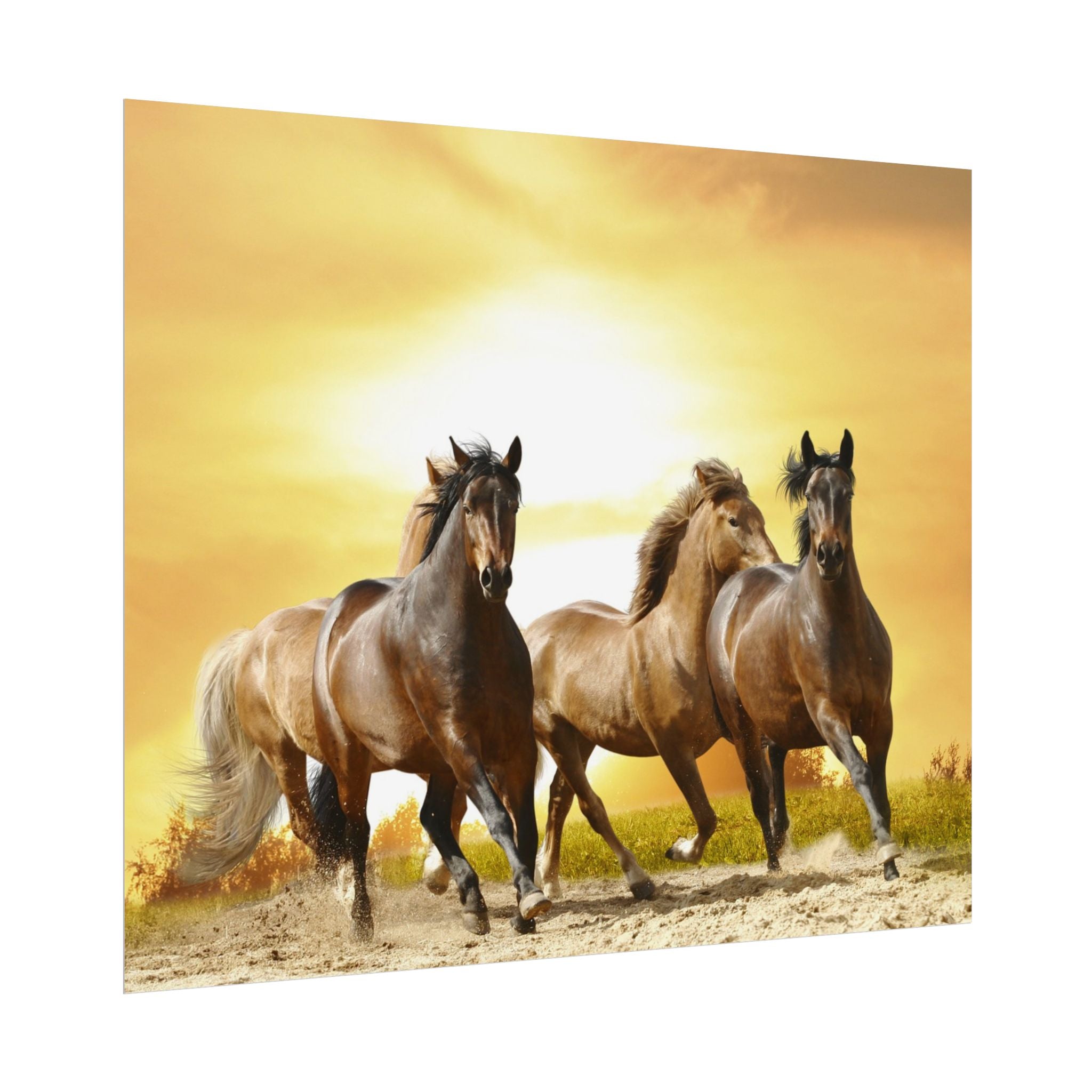 running-horse-poster-wall-art-farmhouse-wall-decor-home-decor-housewarming-gift-horse-print-wall-print-wild-animals