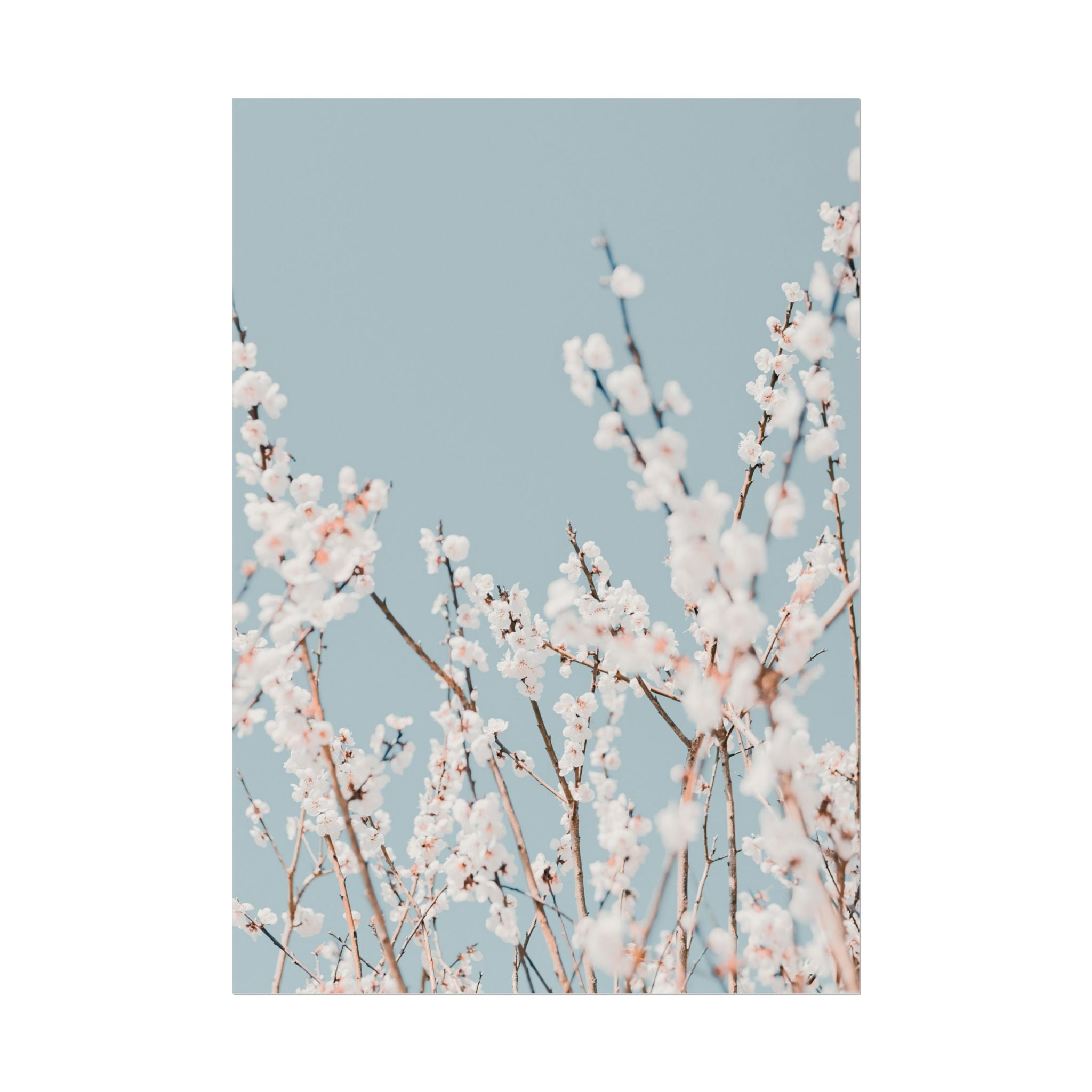 blossom-flowers-poster-print-minimalist-aesthetic-wall-art-fine-art-paper-home-decor-floral-decor-elegant-artwork