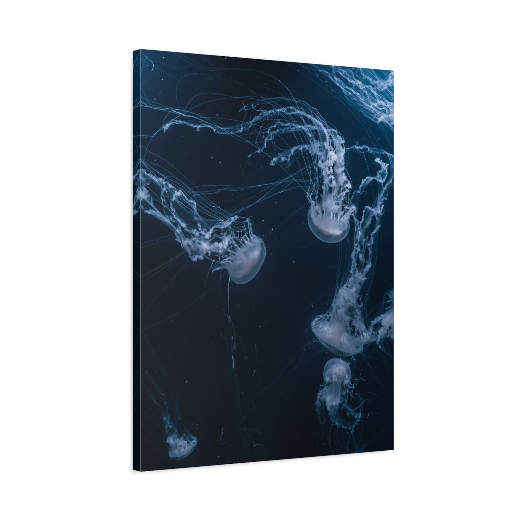 canvas-print-jellyfish-wall-art-wall-hanging-matte-canvas-ocean-life-deep-ocean-decor-home-decor-housewarming-gift